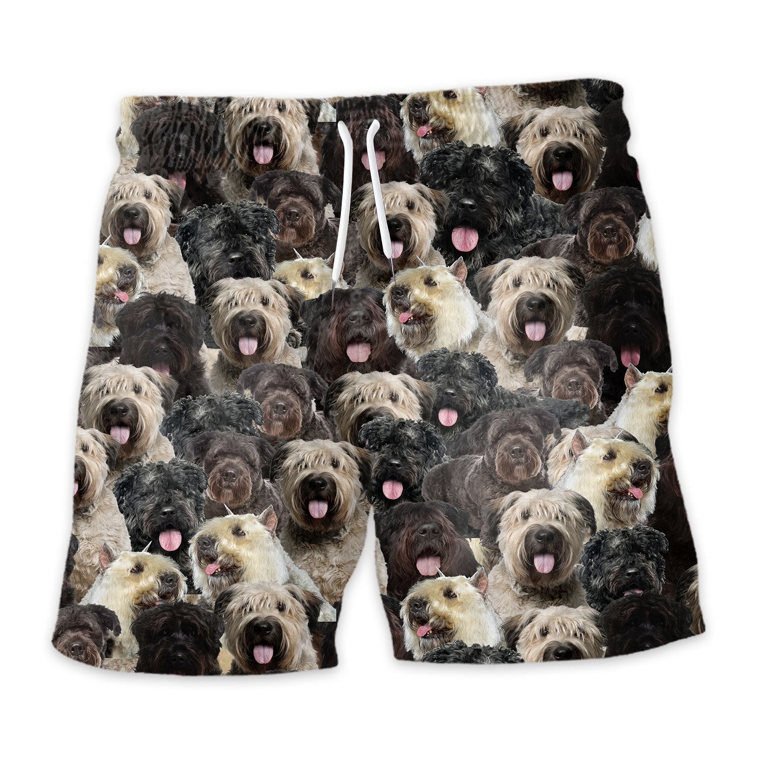 Shorts-front-Bouvier-Des-Flandres.jpg