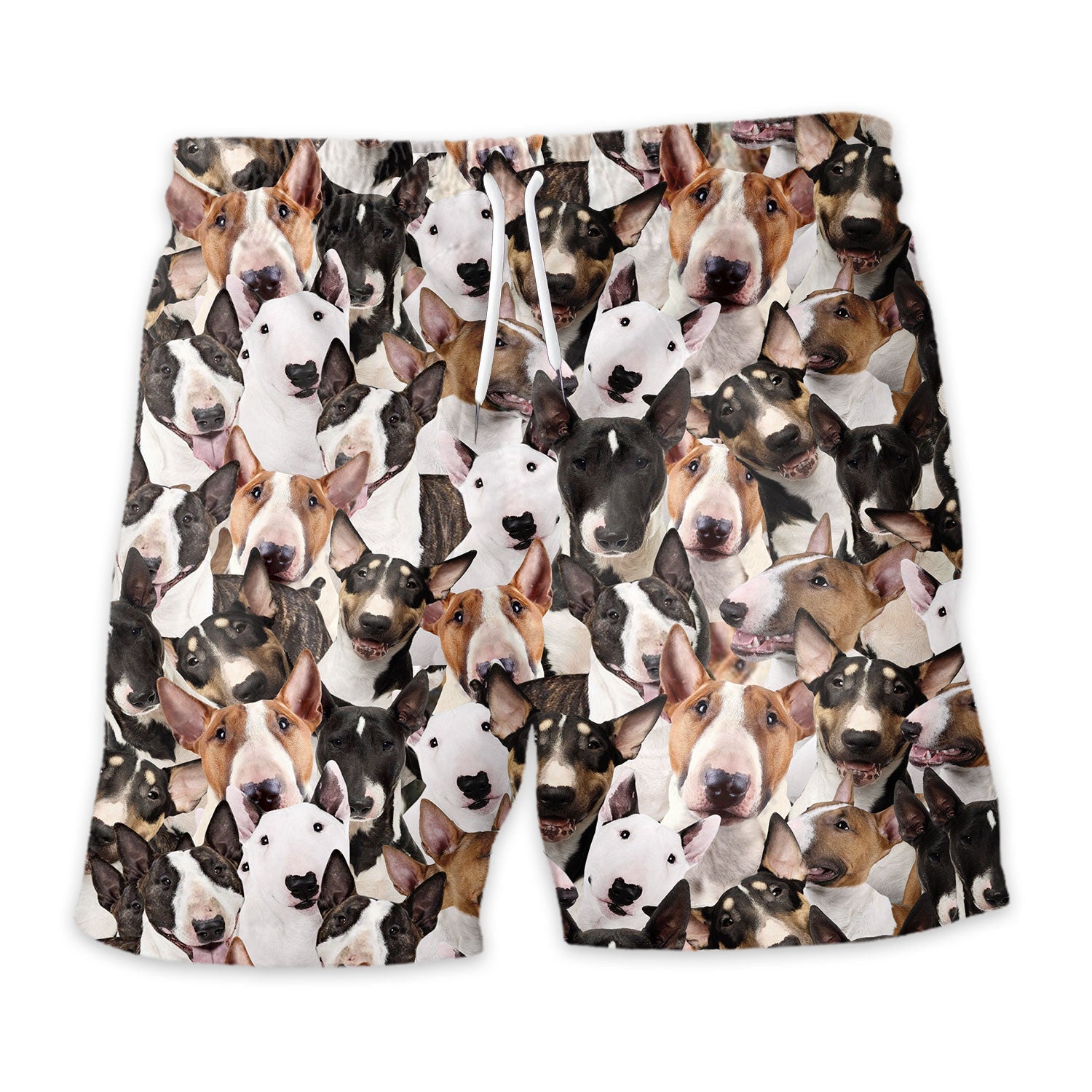 Shorts-front-Bull-Terrier.jpg