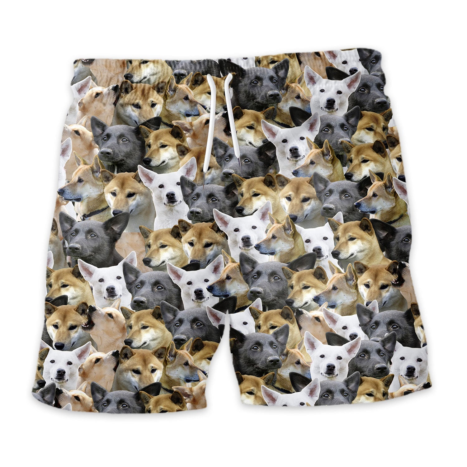 Shorts-front-Canaan-Dog.jpg