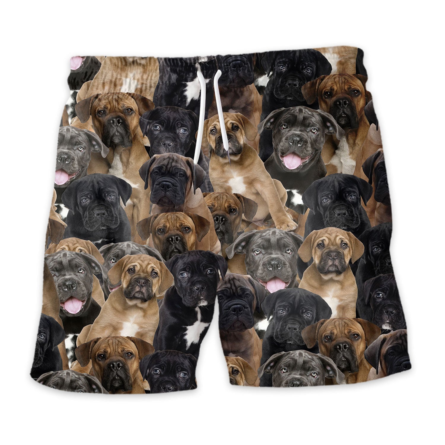 Shorts-front-Cane-Corso.jpg