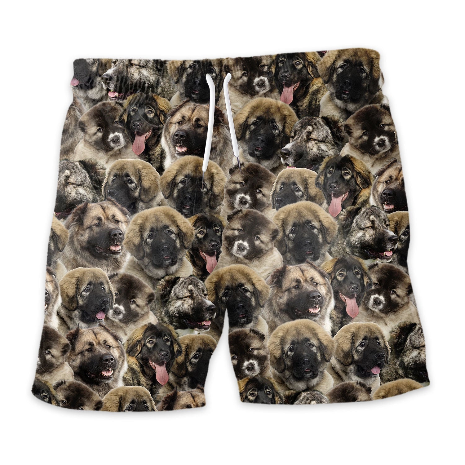 Shorts-front-Caucasian-Shepherd-Dog.jpg