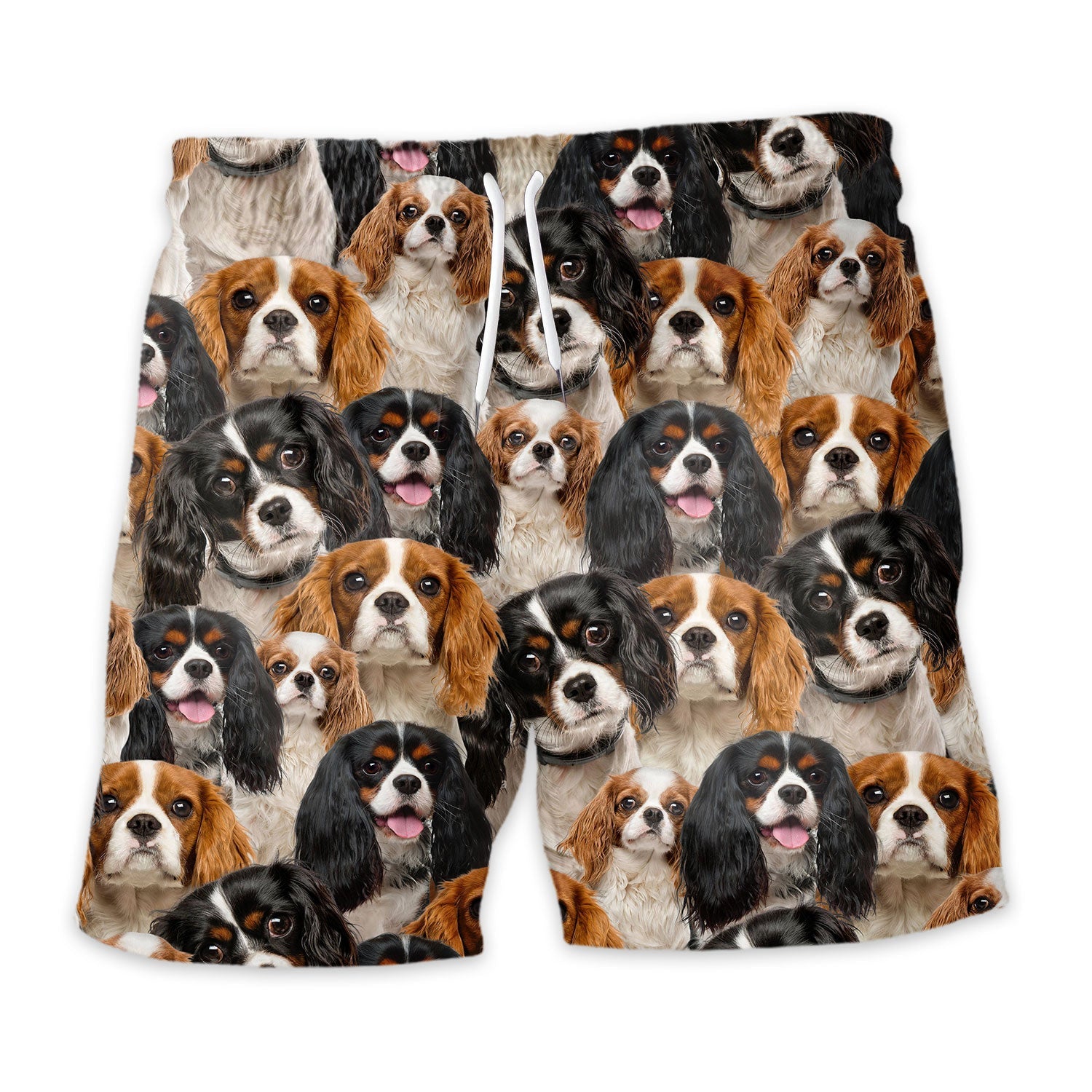 Shorts-front-Cavalier-King-Charles-Spaniel.jpg