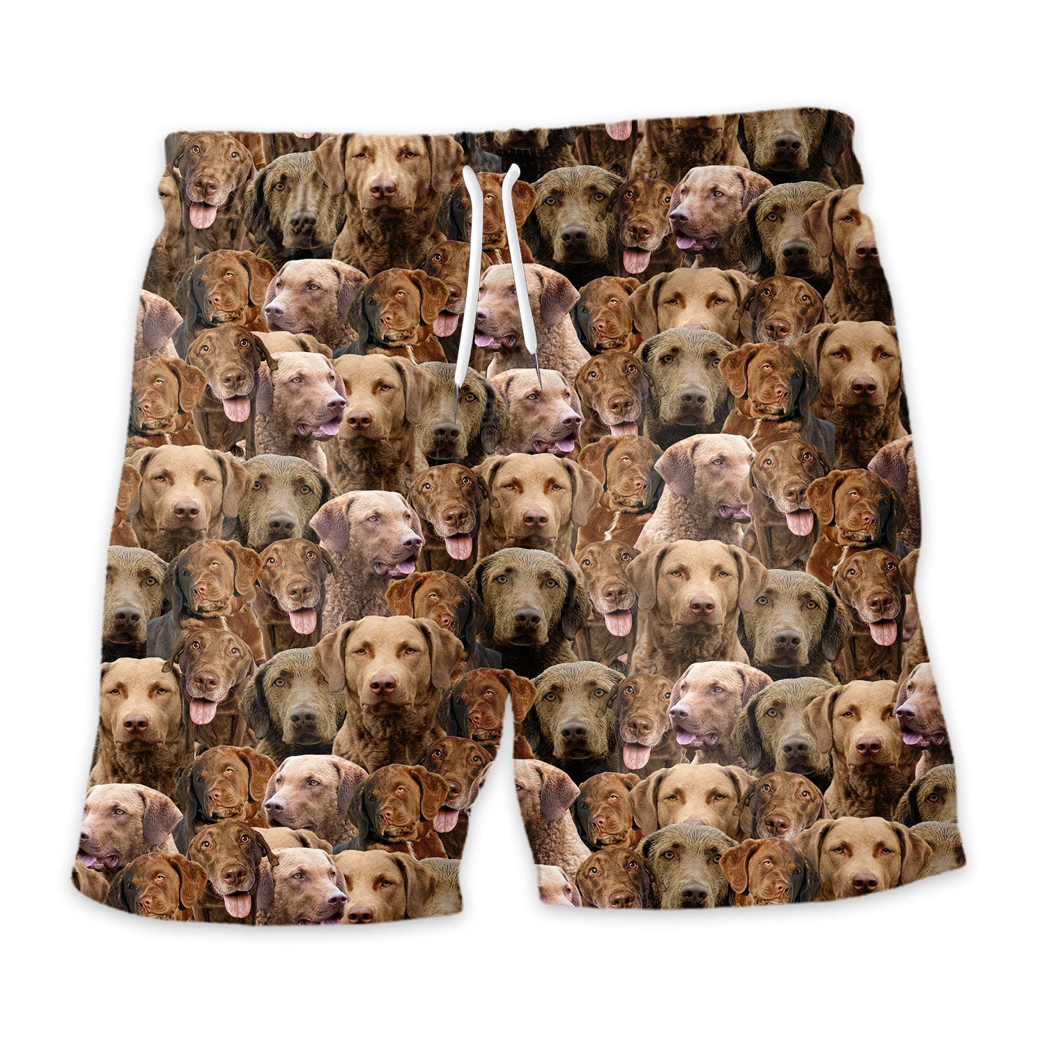 Shorts-front-Chesapeake-Bay-Retriever.jpg