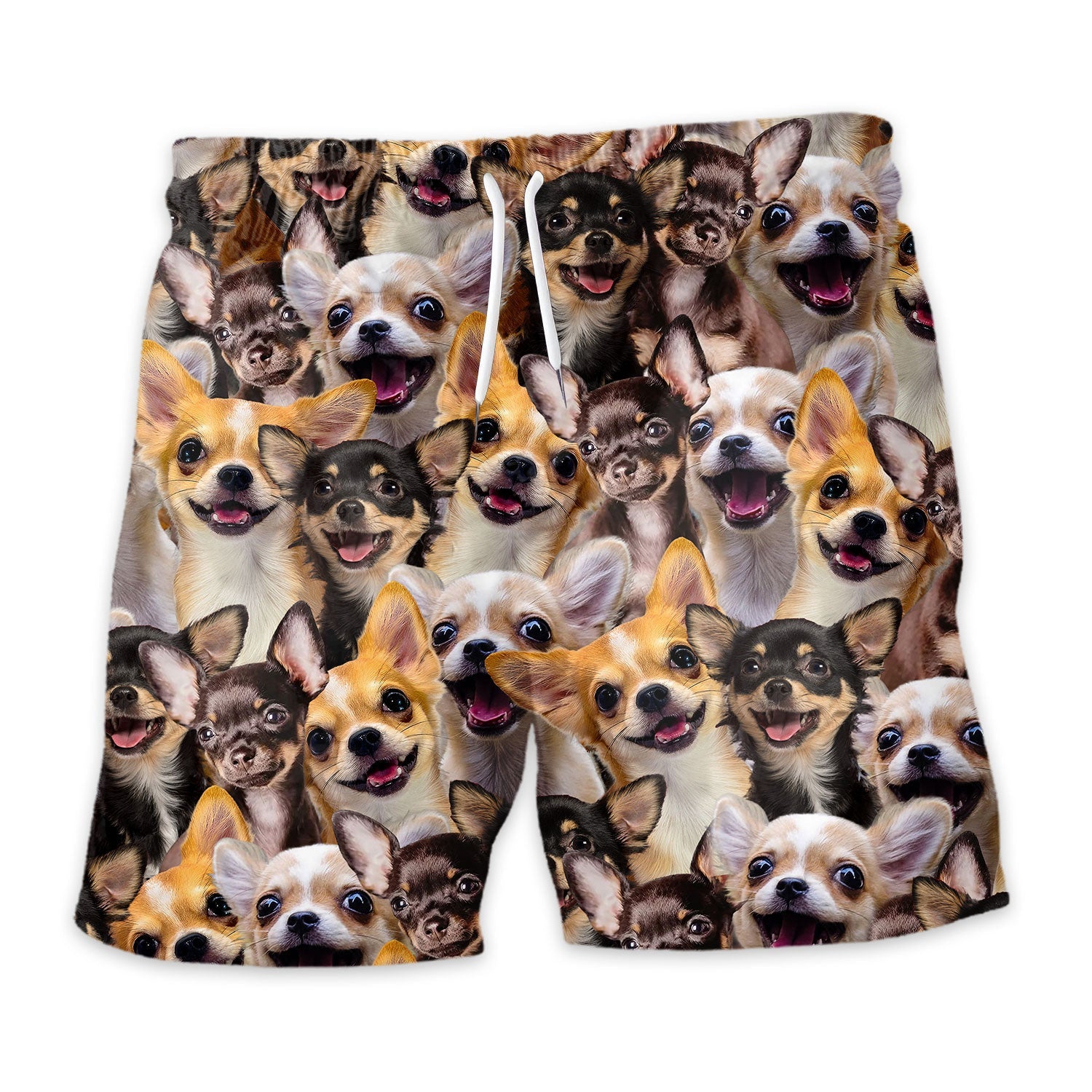 Shorts-front-Chihuahua.jpg