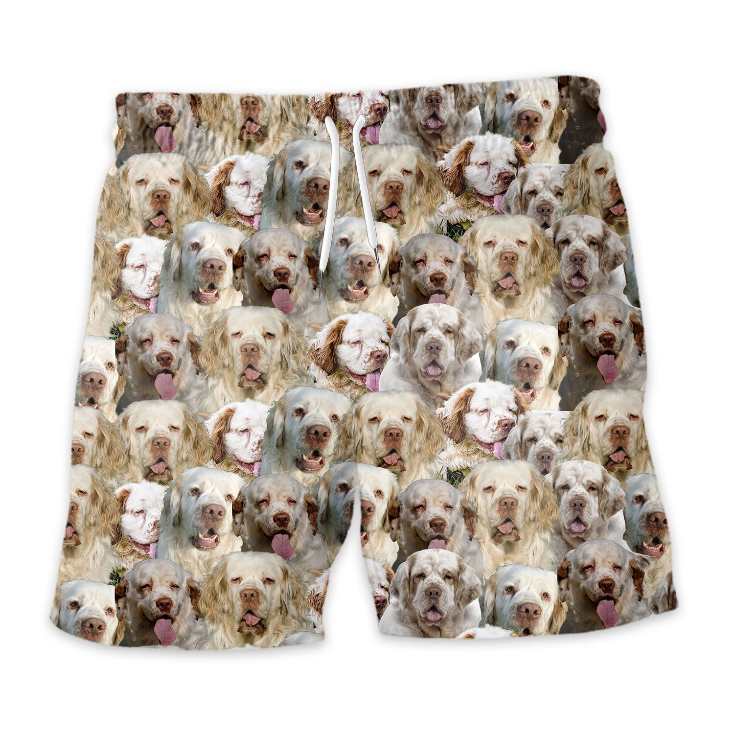 Shorts-front-Clumber-Spaniel.jpg