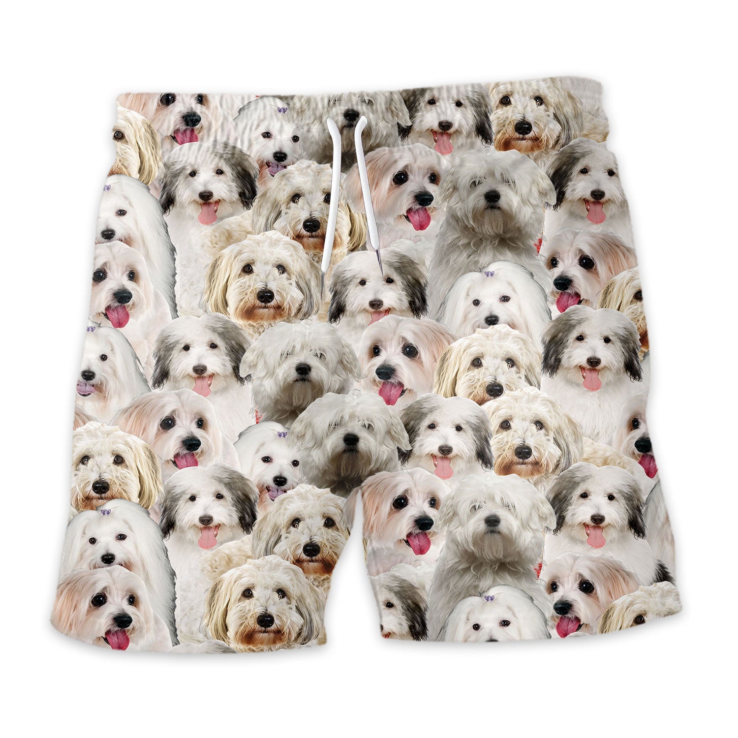 Shorts-front-Coton-De-Tulear.jpg