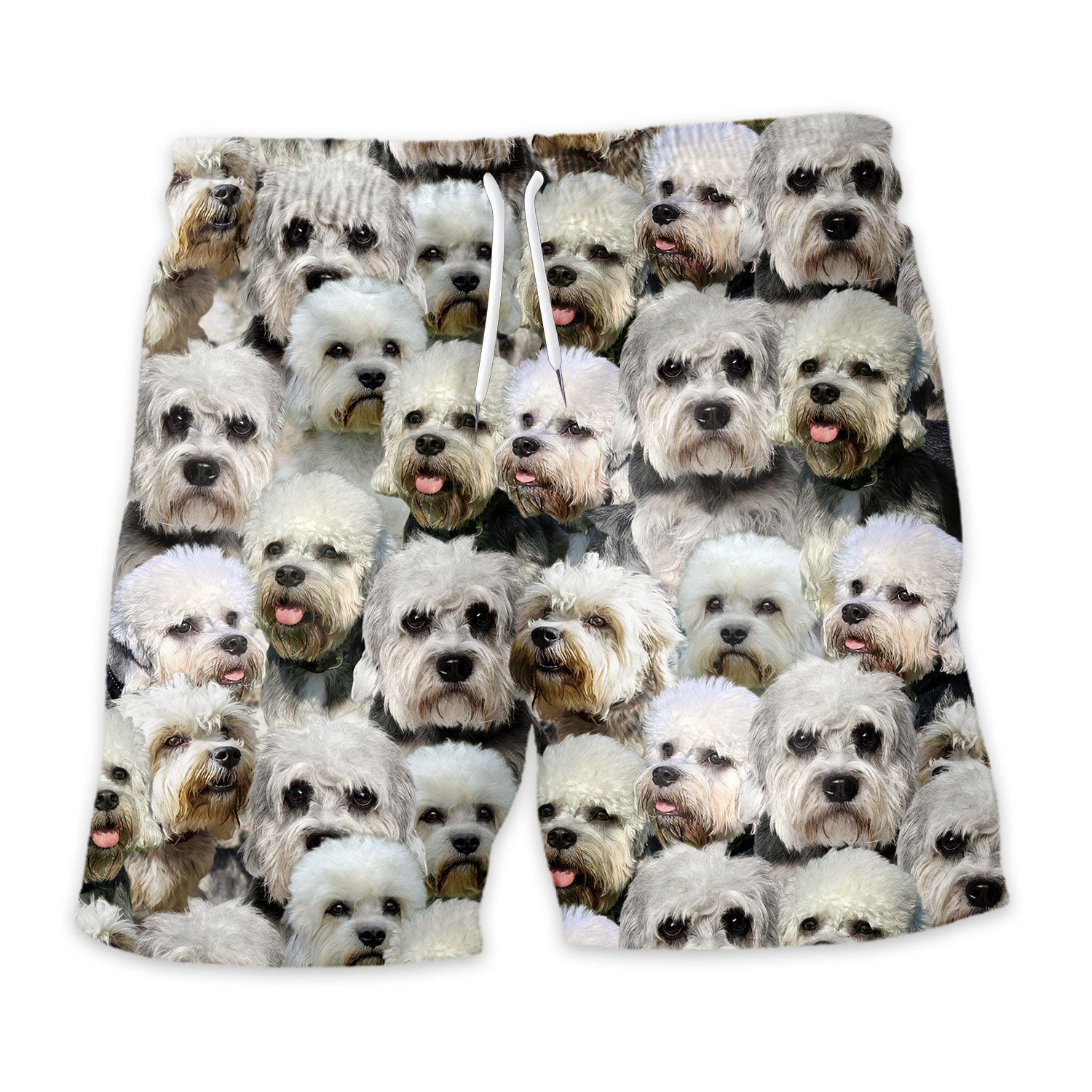 Shorts-front-Dandie-Dinmont-Terrier.jpg