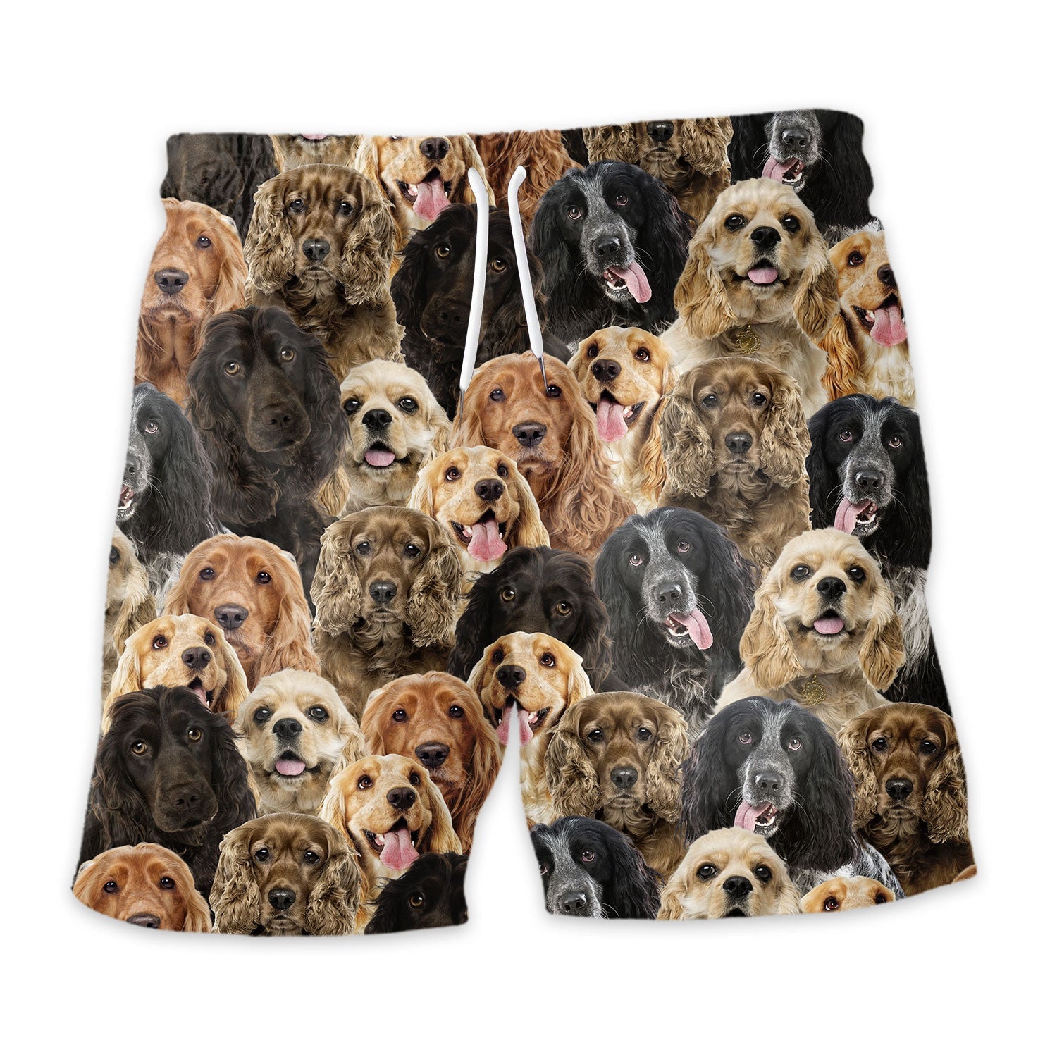 Shorts-front-English-Cocker-Spaniel-2.jpg