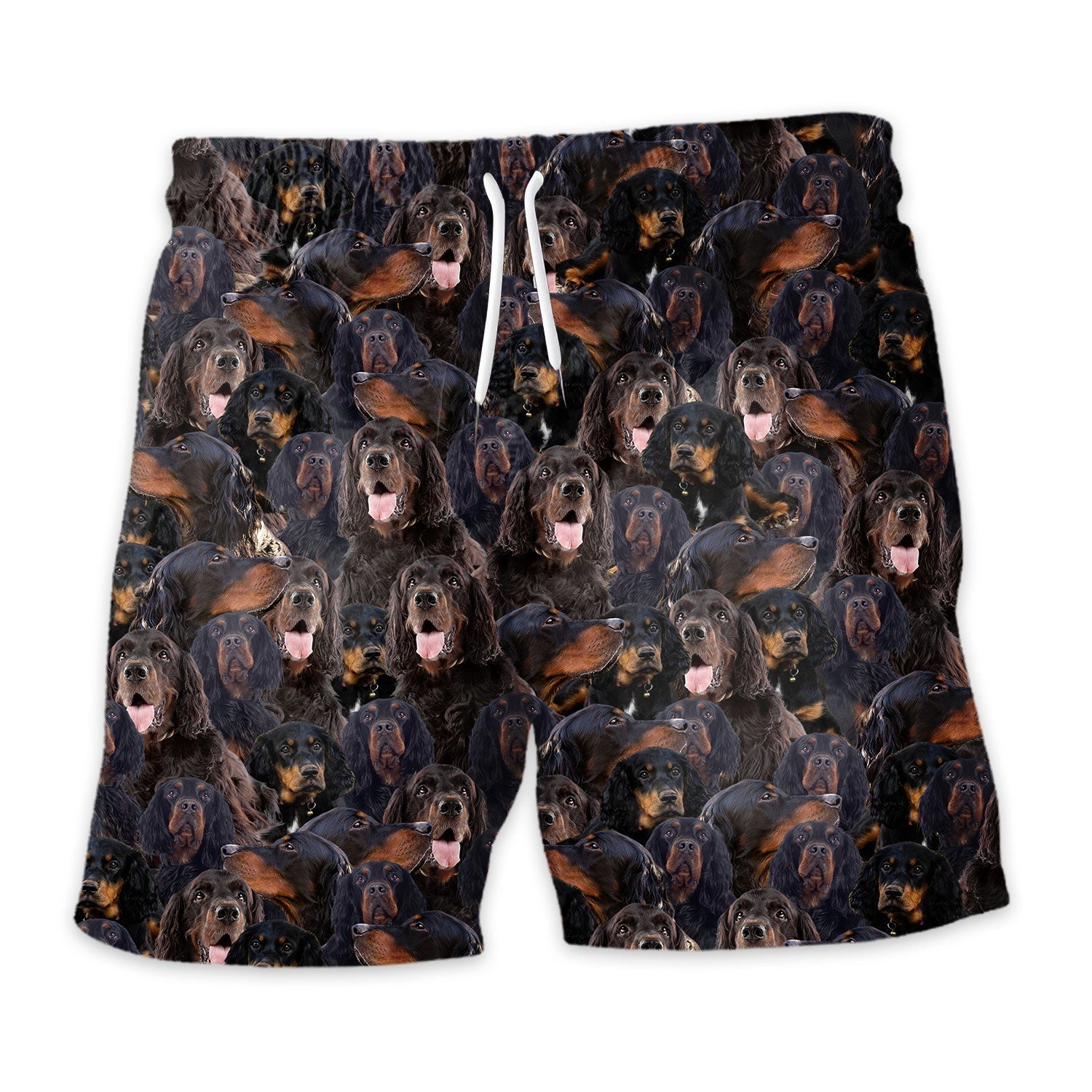 Shorts-front-Gordon-Setter.jpg