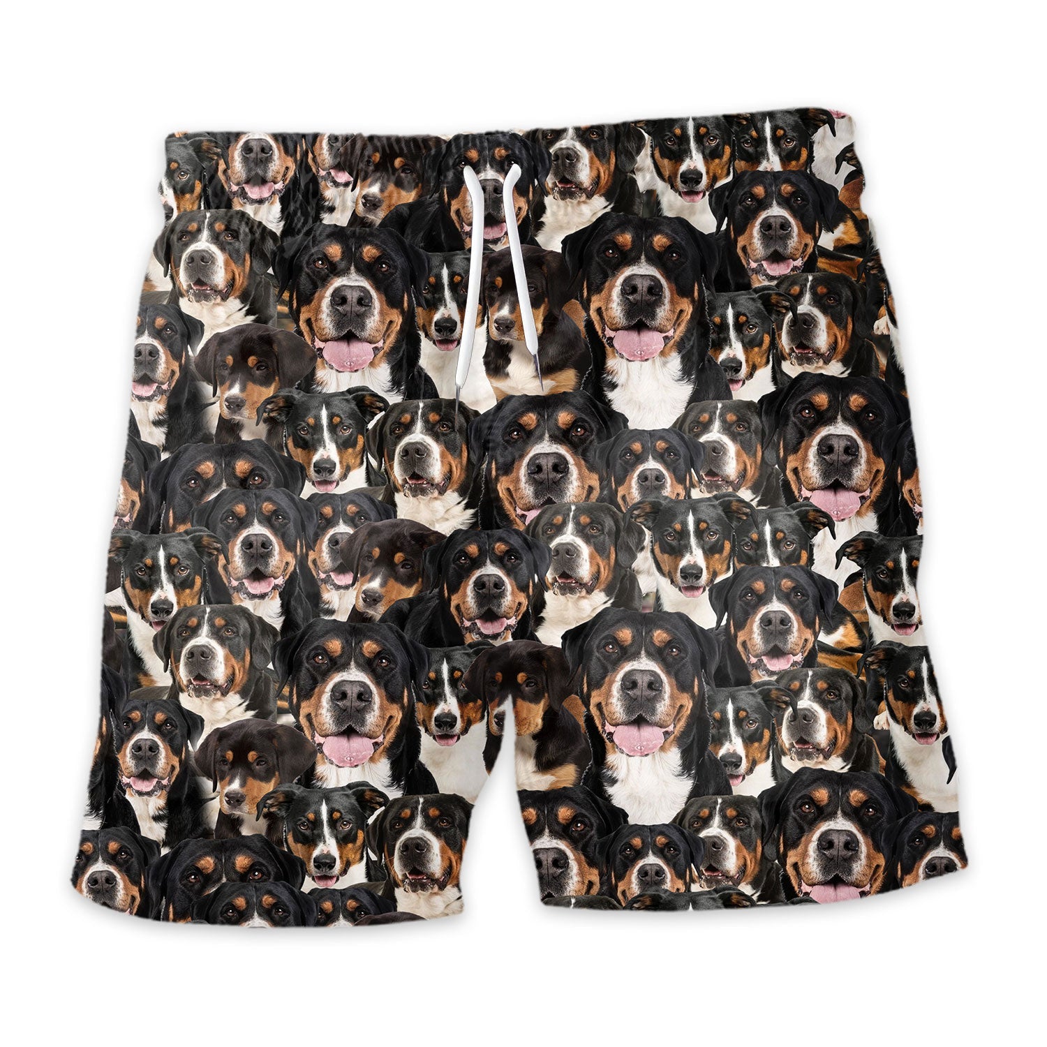 Shorts-front-Greater-Swiss-Mountain-Dog.jpg