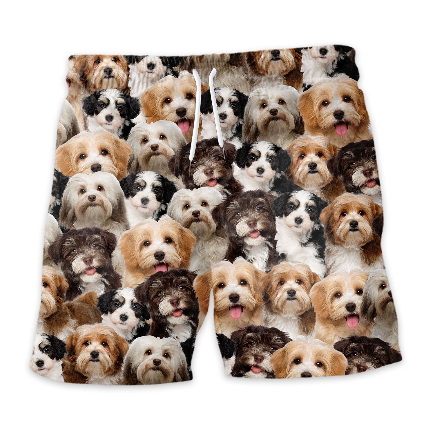 Shorts-front-Havanese.jpg