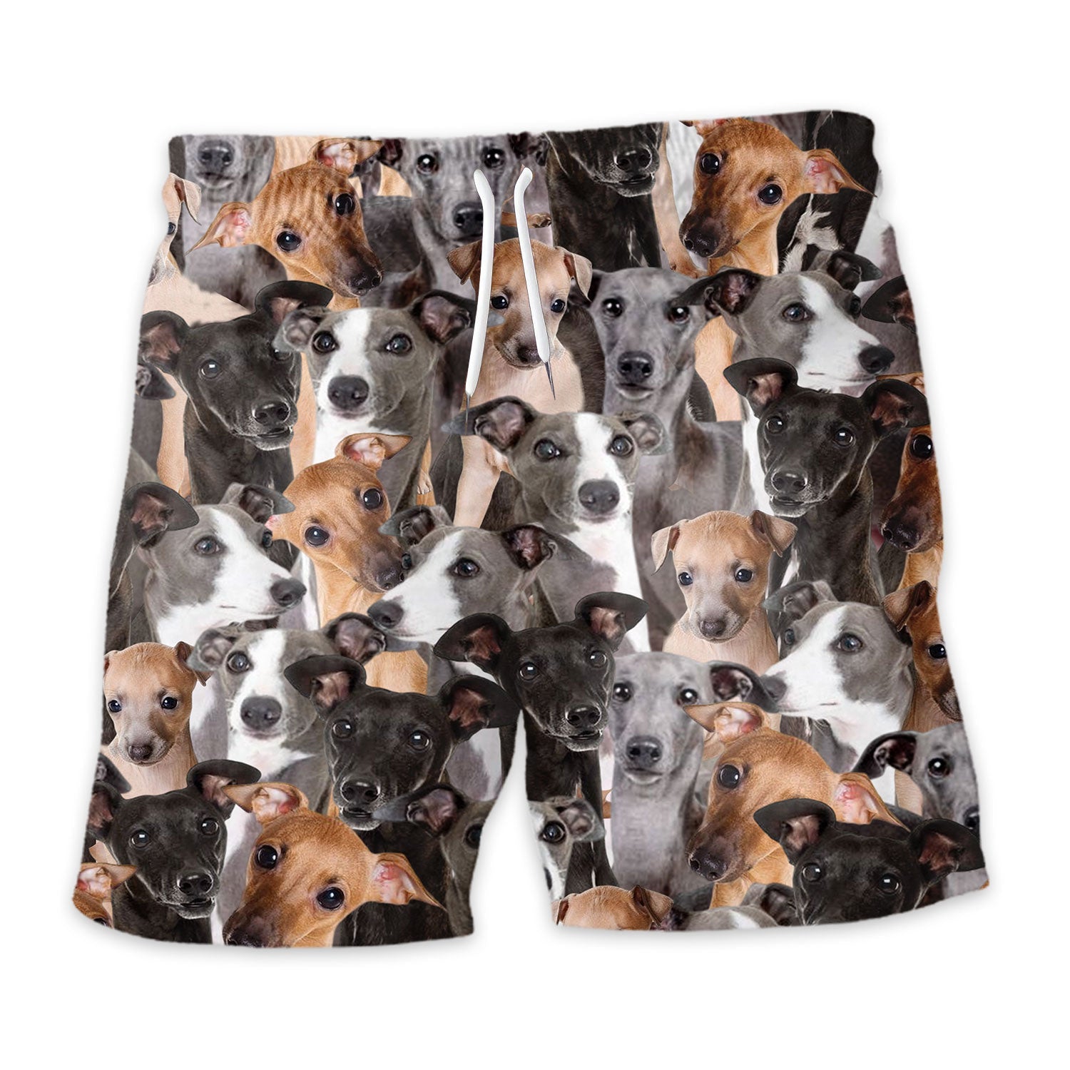 Shorts-front-Italian-Greyhound-Full.jpg
