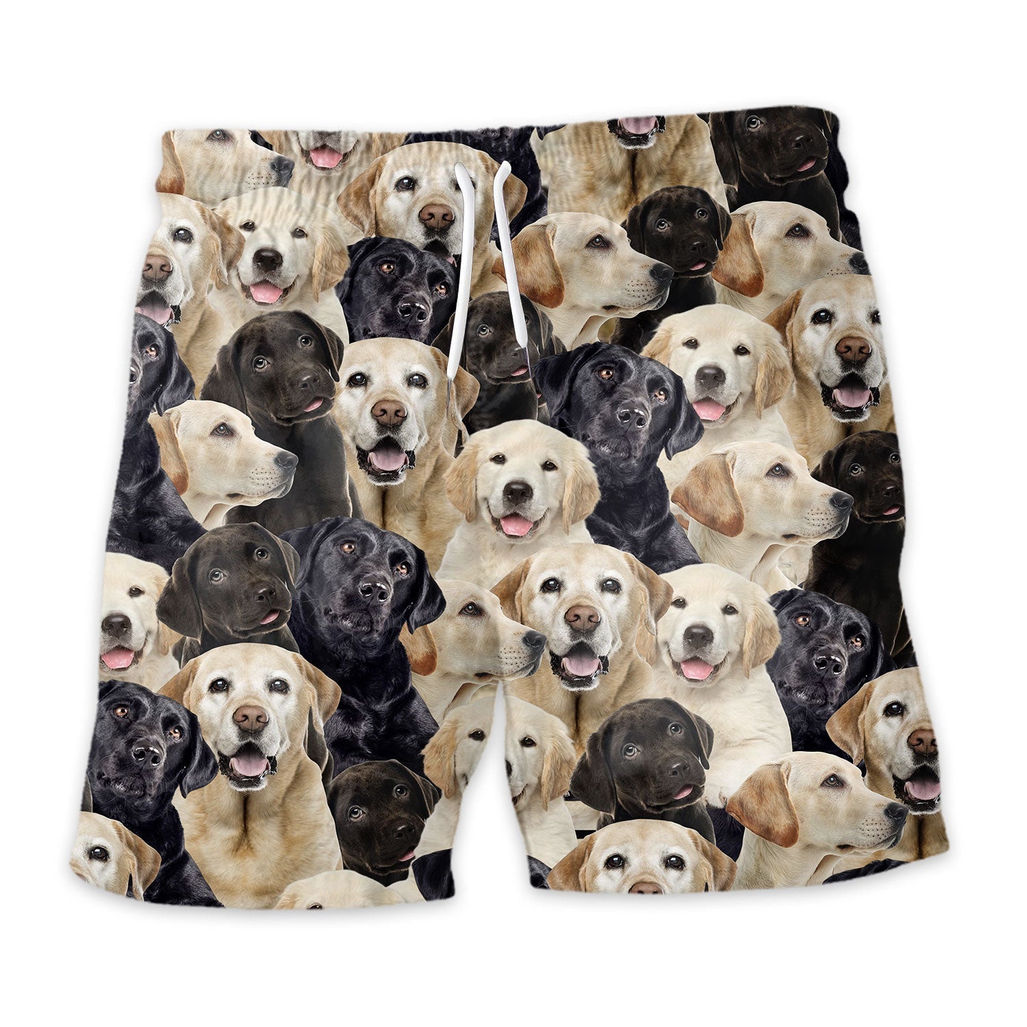Shorts-front-Labrador-Retriever.jpg