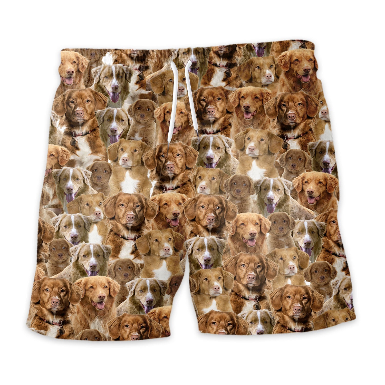 Shorts-front-Nova-Scotia-Duck-Tolling-Retriever_7e93684d-f783-48f0-aa57-cc5449686cd7.jpg
