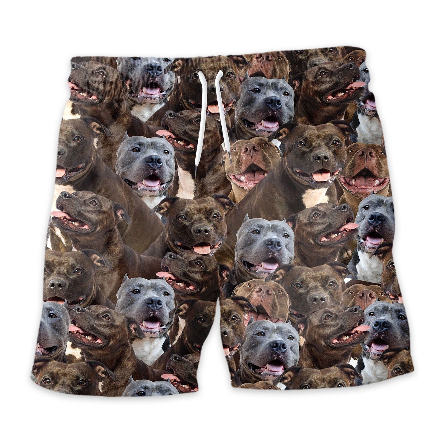 Shorts-front-Pitbull_b714f05a-e488-4fcb-8d41-ff254768b7df.jpg