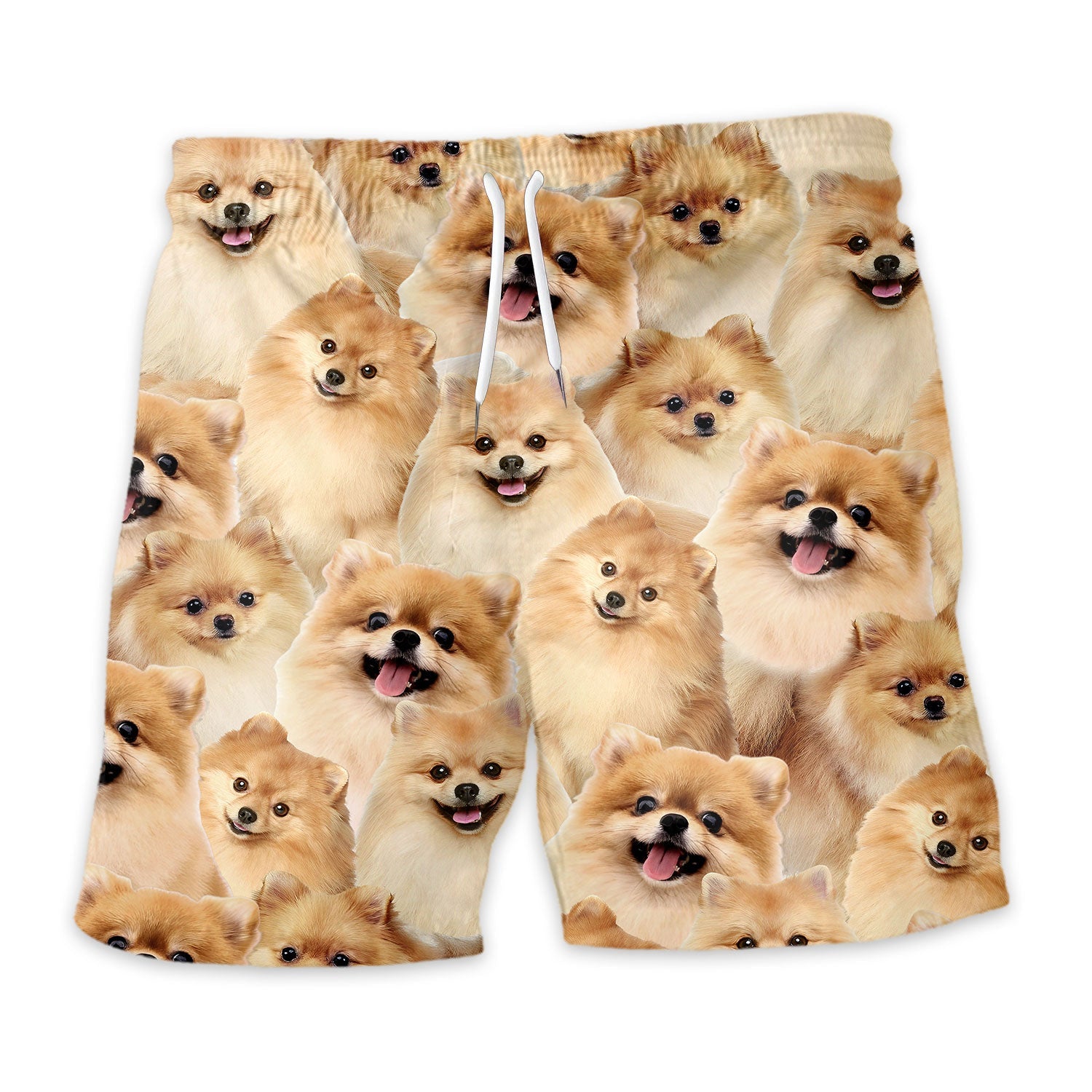 Shorts-front-Pomeranian_d83e116e-0682-4cba-ac3e-7a6a34f570ff.jpg