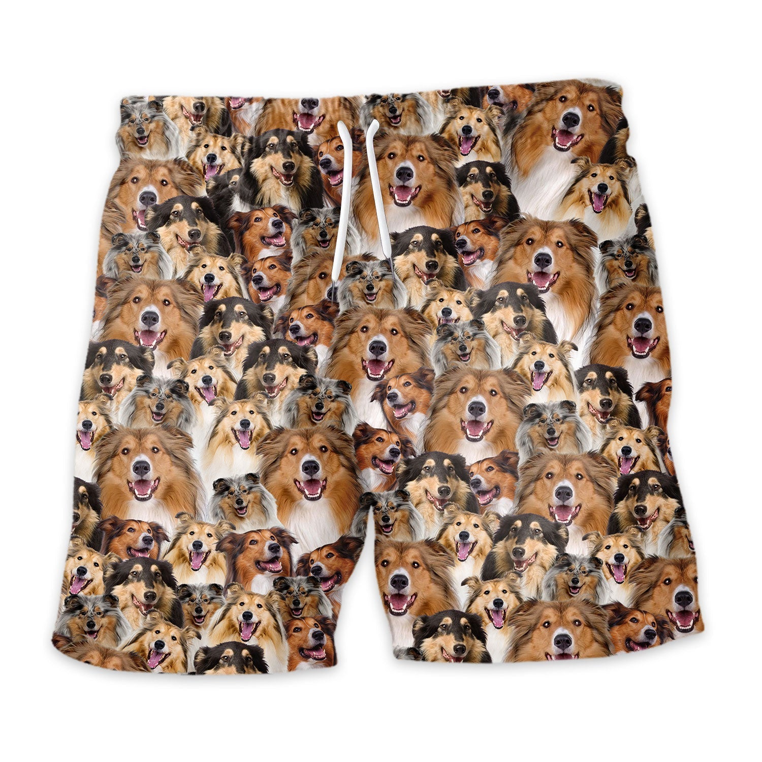 Shorts-front-Rough-Collie_35dadaf6-0e13-46e4-98f9-38d393984009.jpg