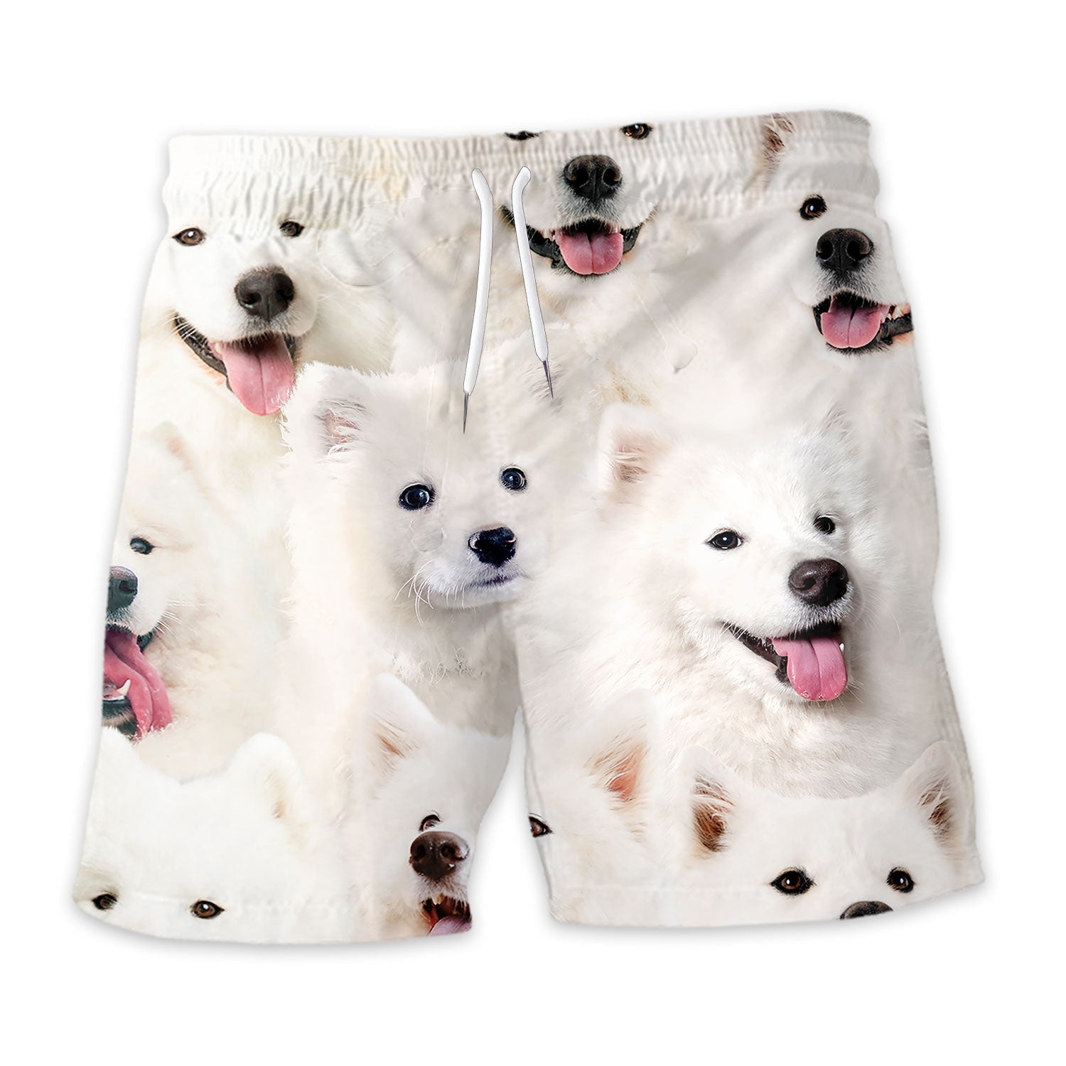 Shorts-front-Samoyed_f4afe948-b4c3-43d6-a42a-df5035dd6454.jpg