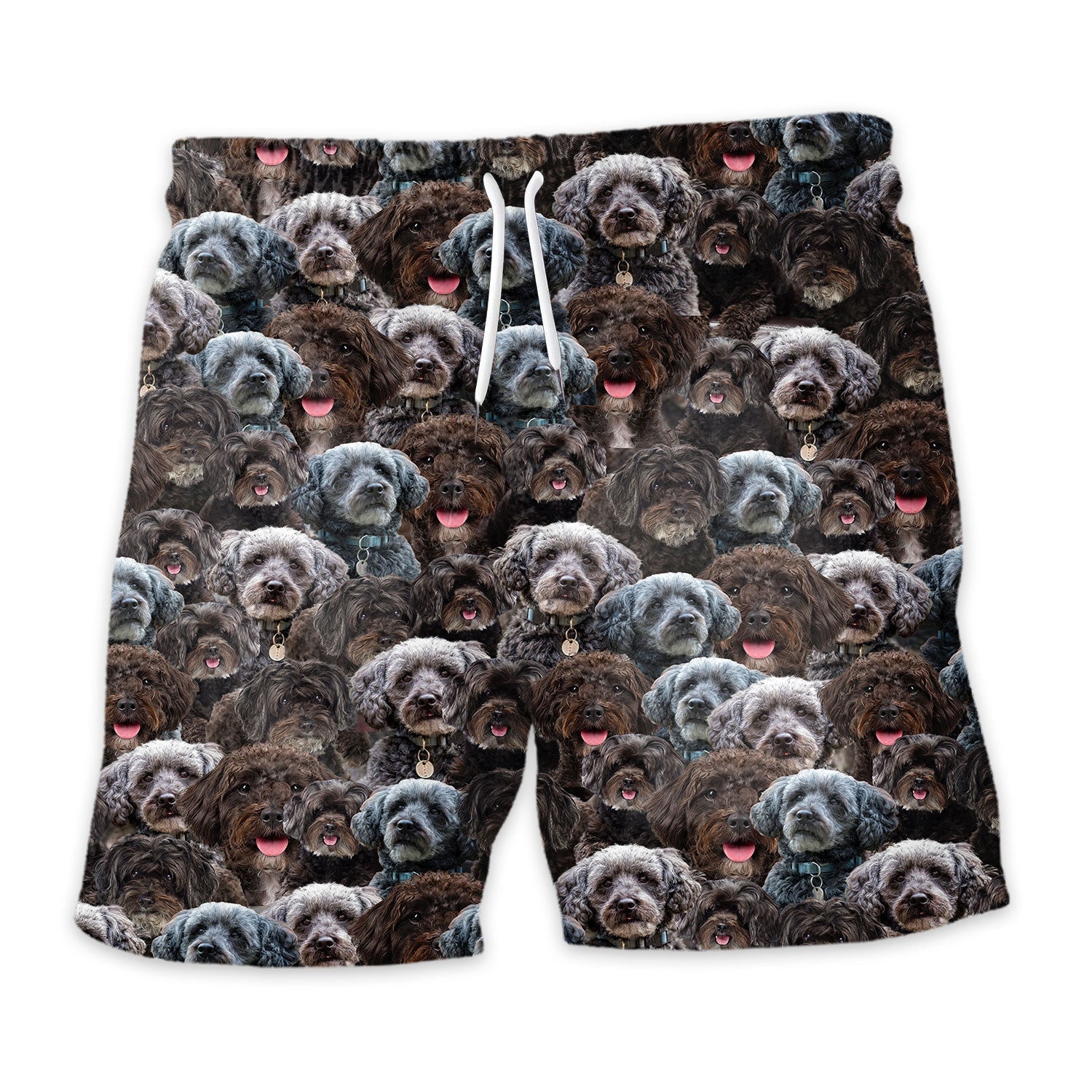 Shorts-front-Schnoodle_71bac6c9-ef5d-4f4e-abad-40c9941c17e7.jpg