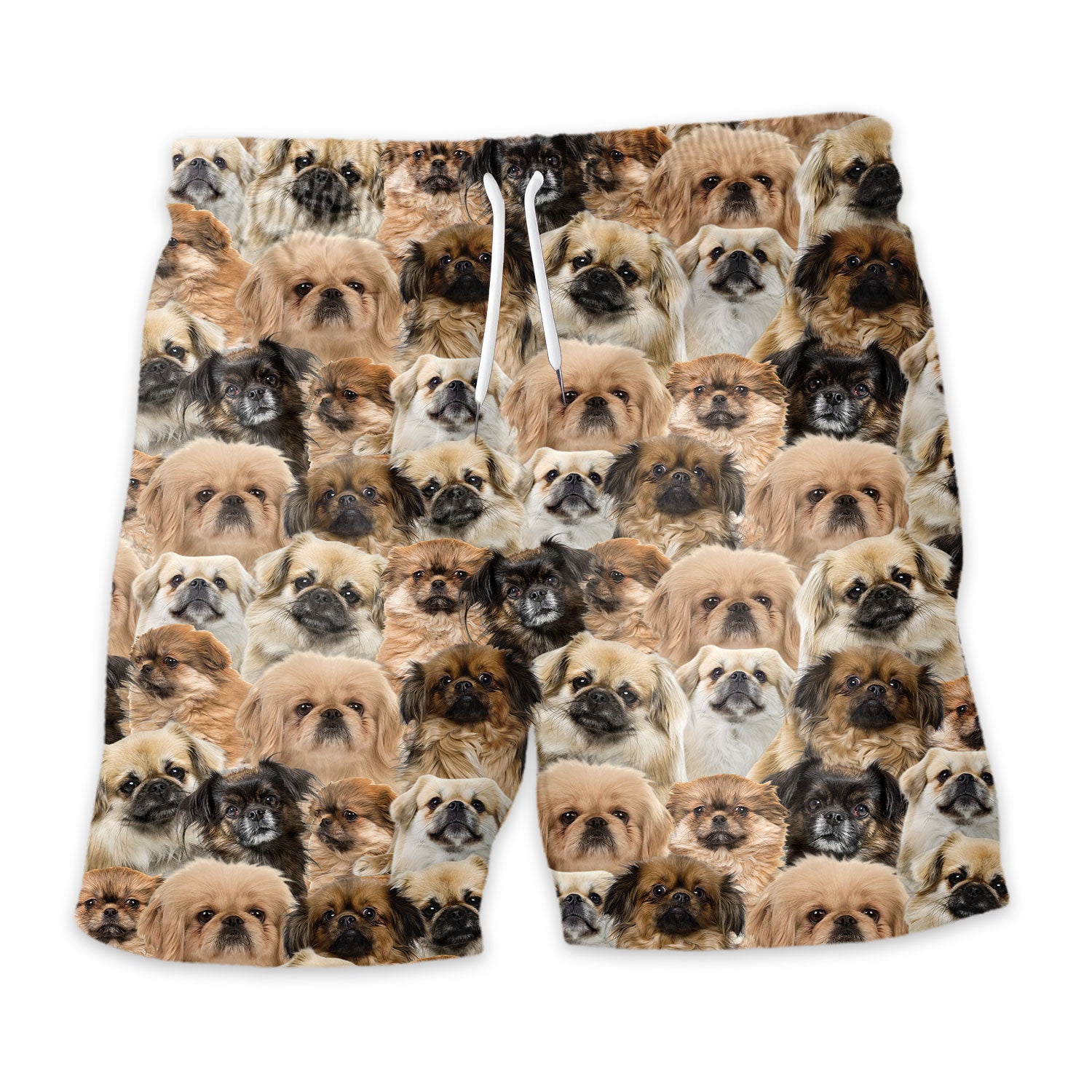 Shorts-front-Tibetan-Spaniel_8fc1e5d0-2c3e-47a3-8740-e7b958851c4a.jpg