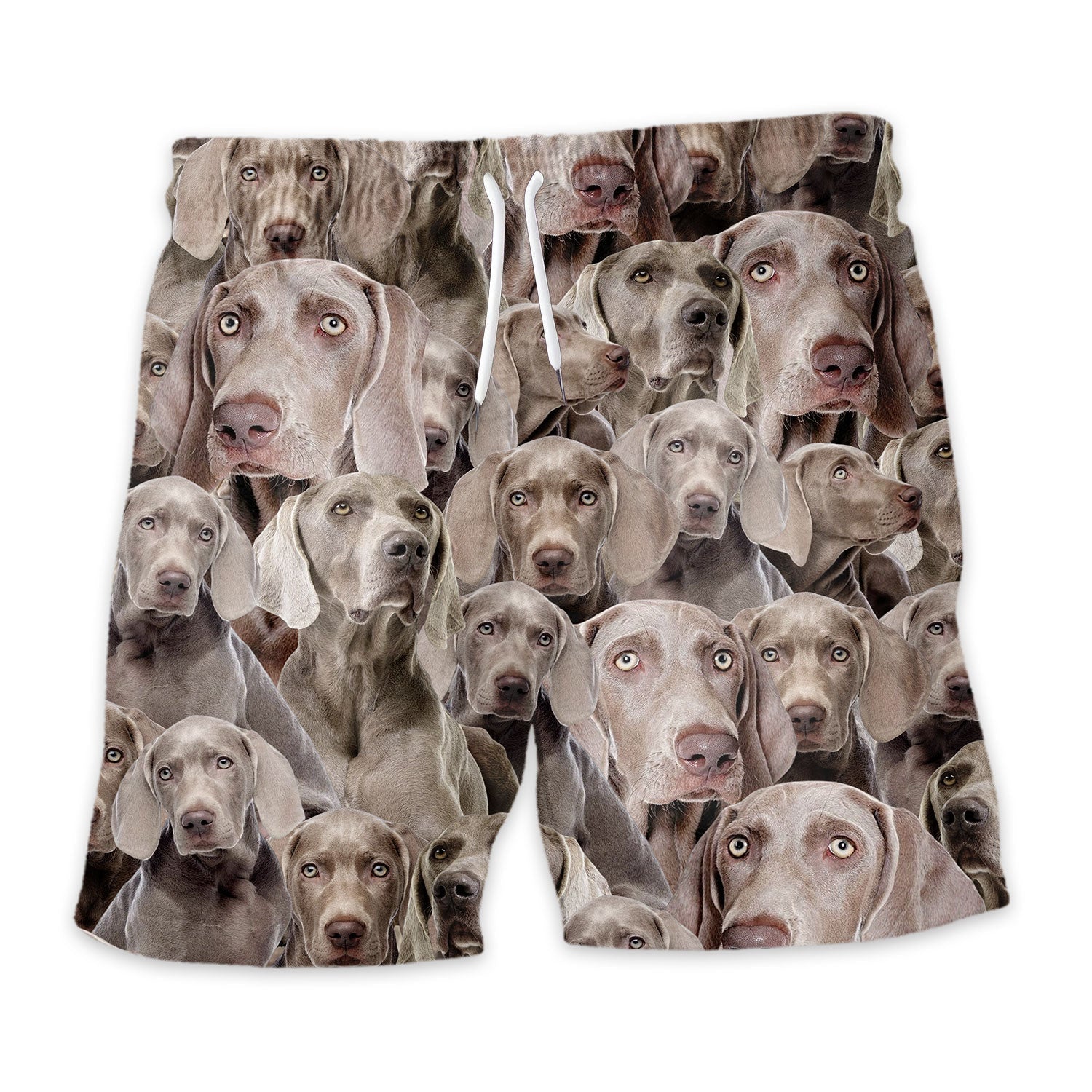 Shorts-front-Weimaraner_e1b49099-2024-4487-8c2a-e6d3b907097e.jpg