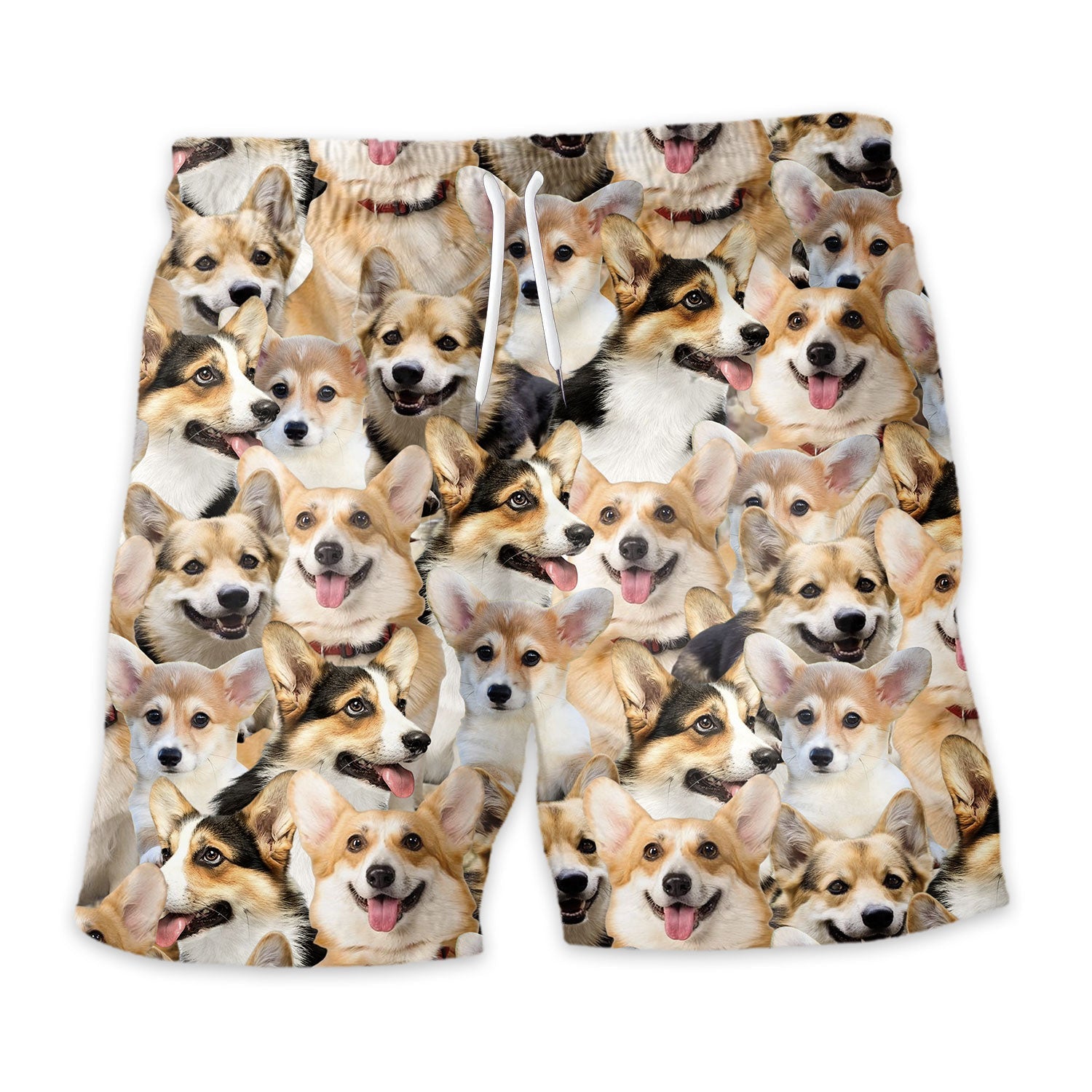 Shorts-front-Welsh-Corgi_2cfabb0d-796e-4a34-b72c-1caea4c8dd19.jpg