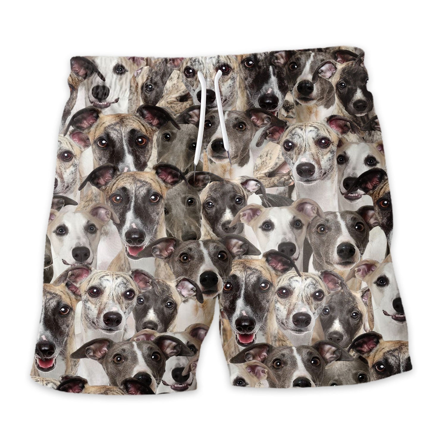 Shorts-front-Whippet_07665ee0-a5d8-4768-9205-92b874792432.jpg