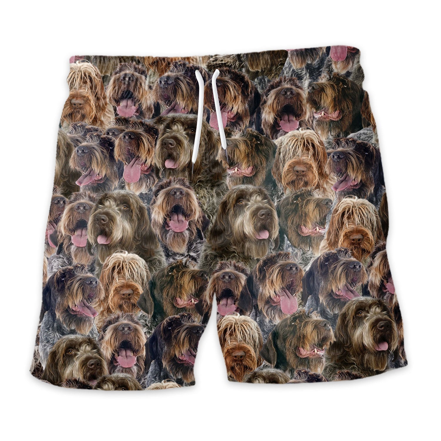 Shorts-front-Wirehaired-Pointing-Griffo_14e1265d-f5bc-4a77-8952-d56cf5537405.jpg