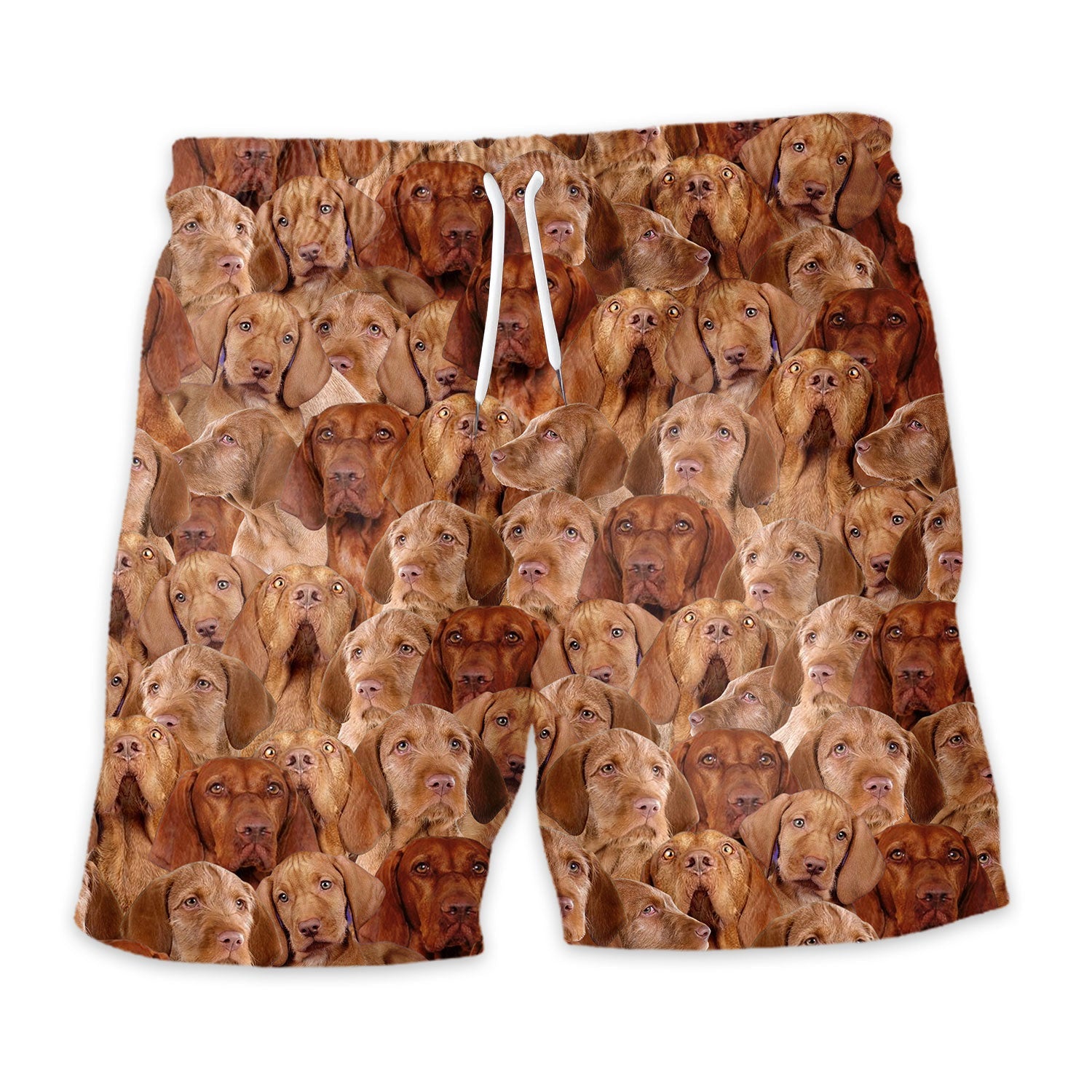 Shorts-front-Wirehaired-Vizsla_a48f744e-be85-40bb-a77d-d40a19bd07ca.jpg