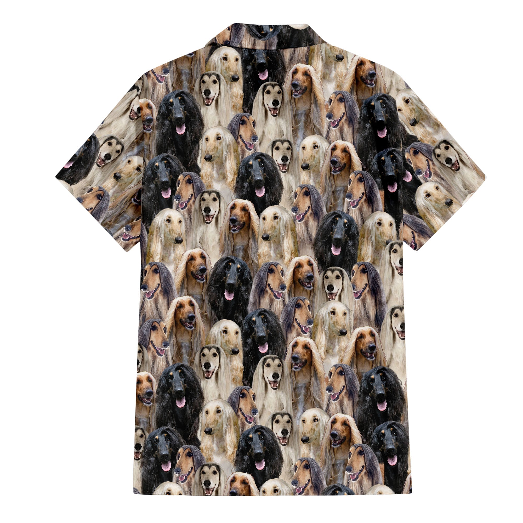back-t-shirt-Afghan-Hound.jpg
