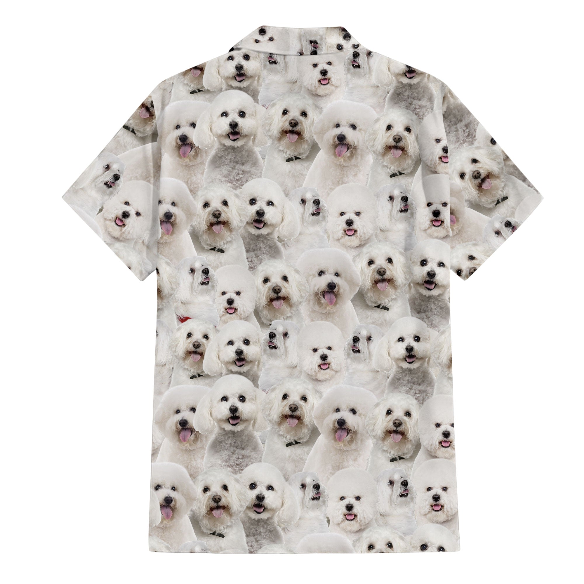 back-t-shirt-Bichon-Frise.jpg
