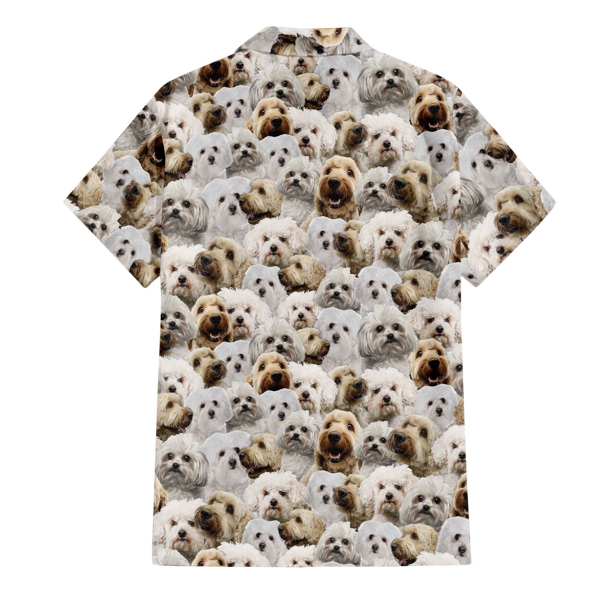 back-t-shirt-Bolognese-Dog.jpg