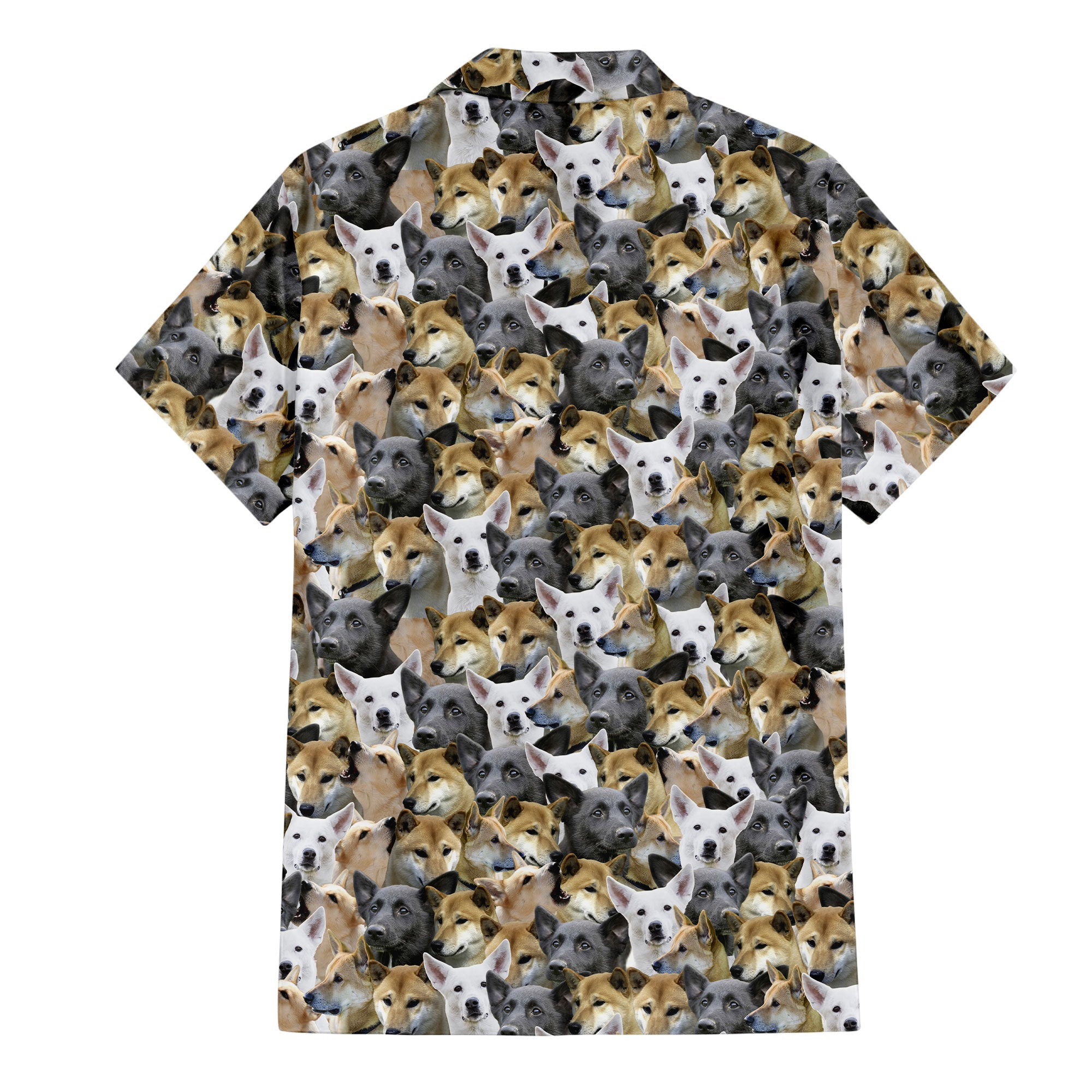 back-t-shirt-Canaan-Dog.jpg