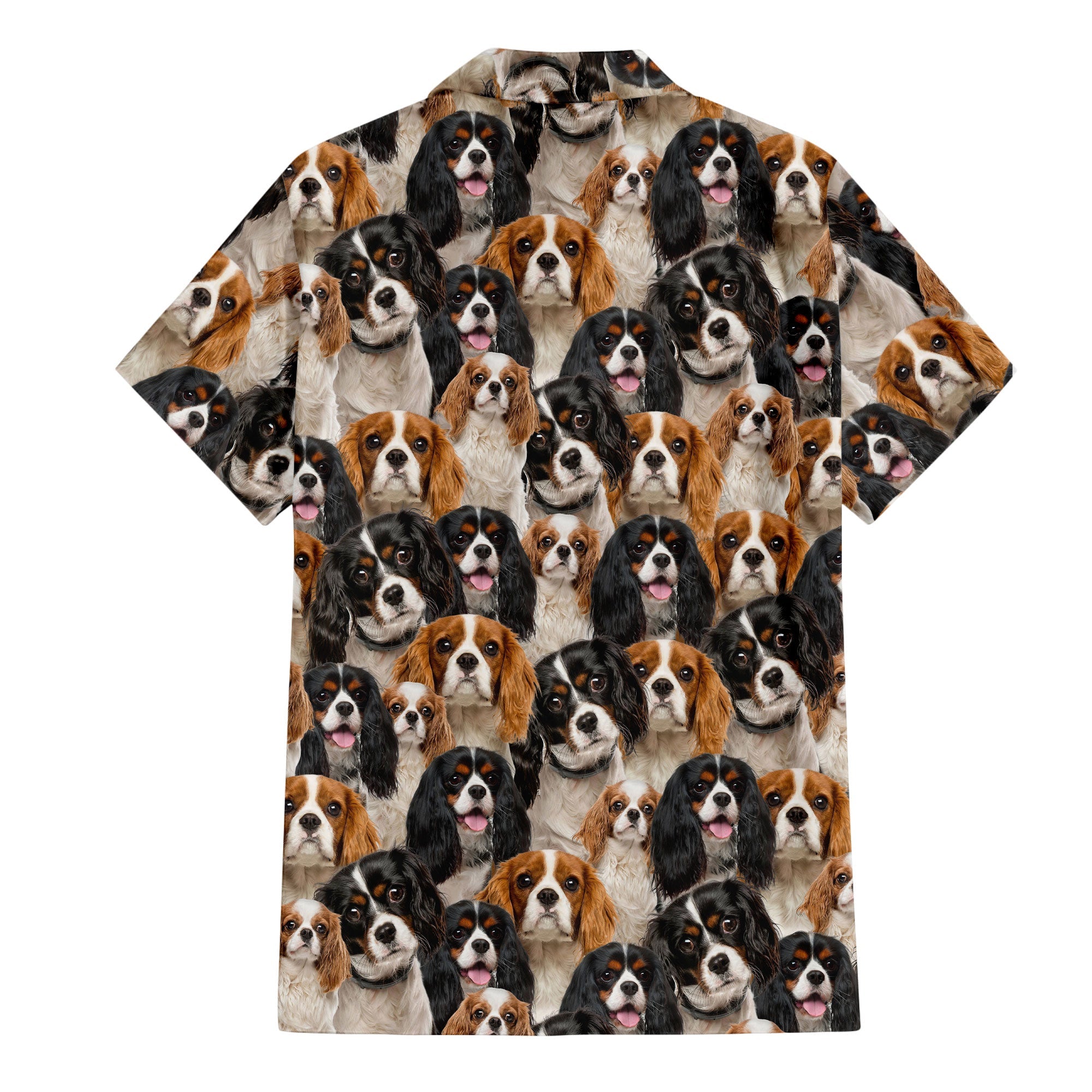 back-t-shirt-Cavalier-King-Charles-Spaniel.jpg
