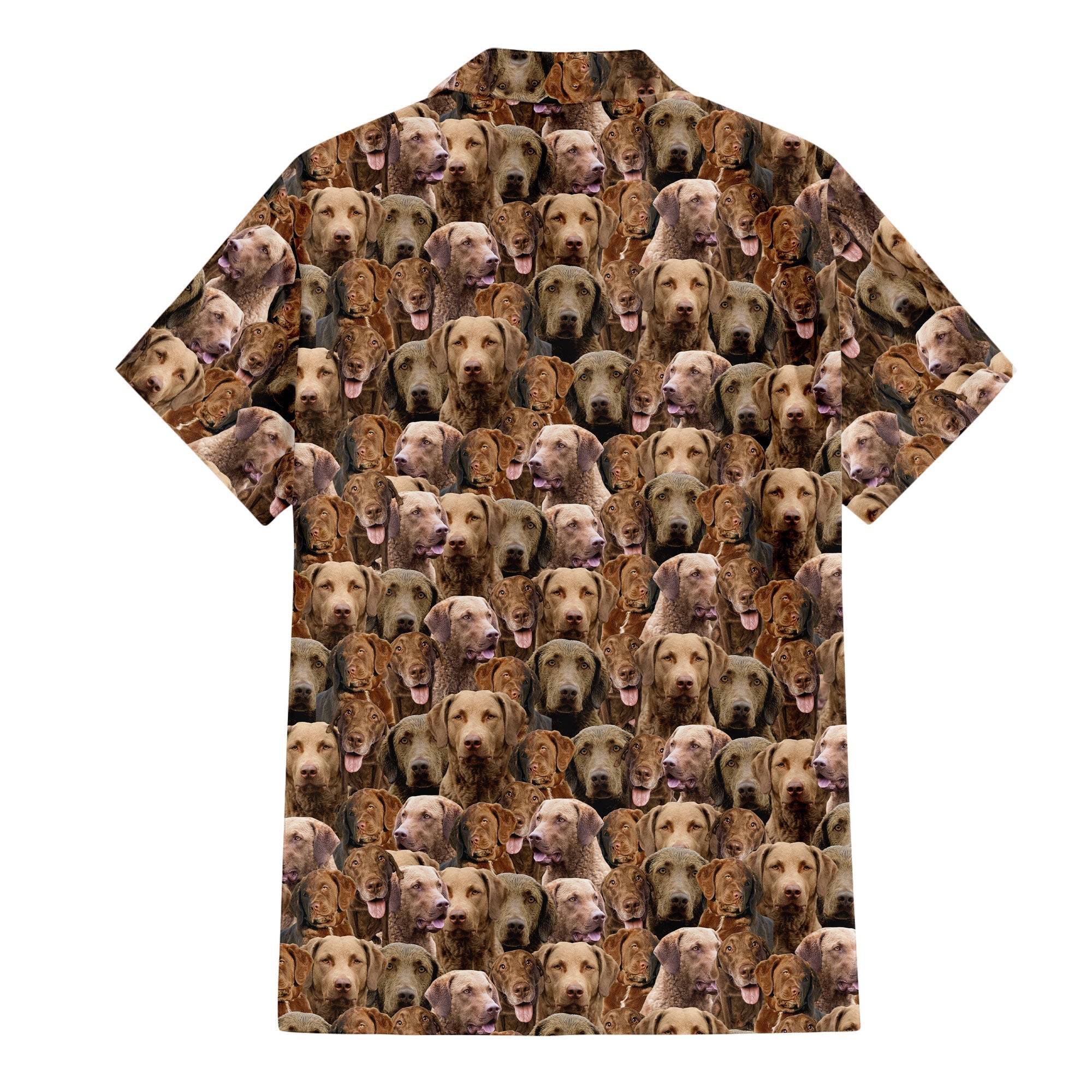back-t-shirt-Chesapeake-Bay-Retriever.jpg