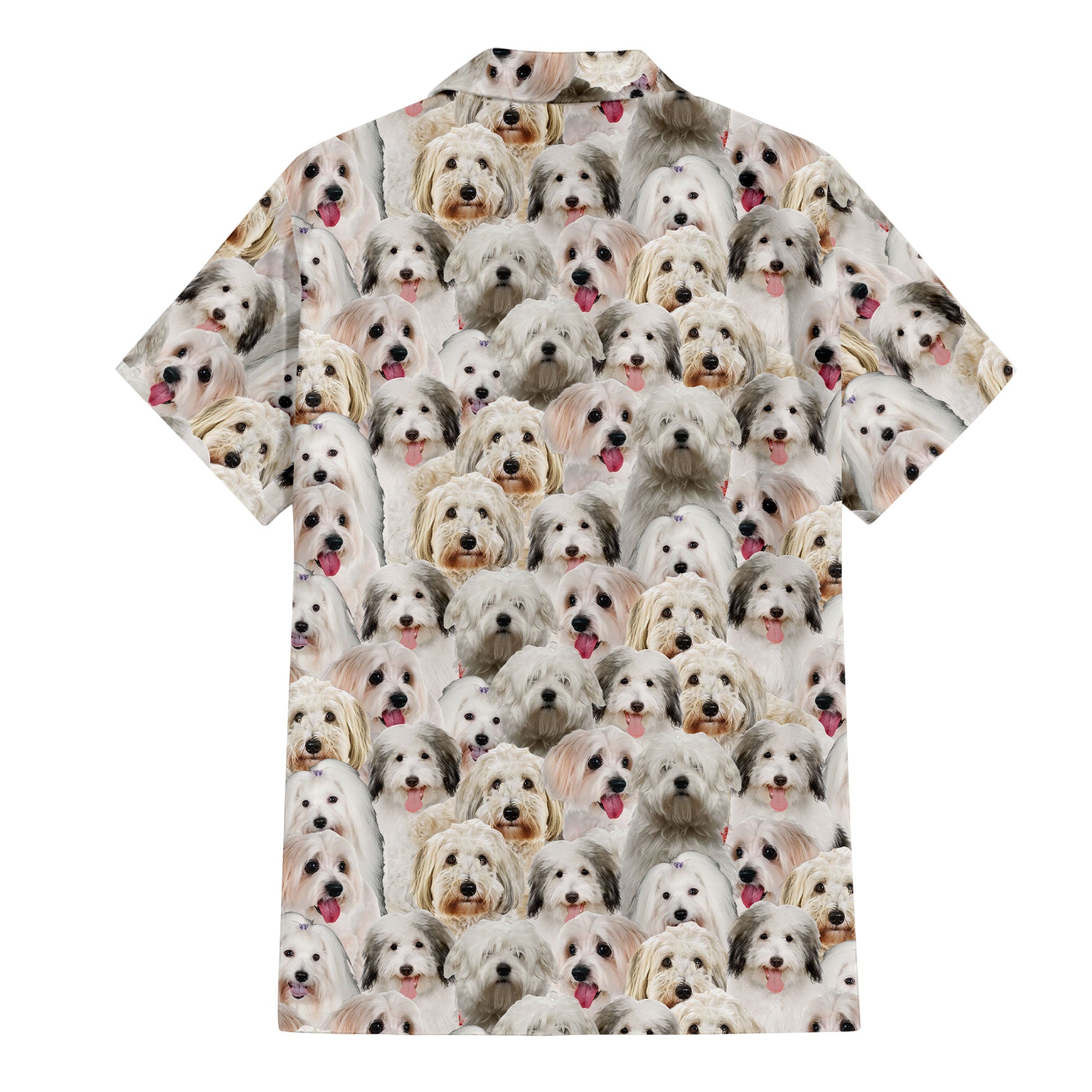 back-t-shirt-Coton-De-Tulear.jpg