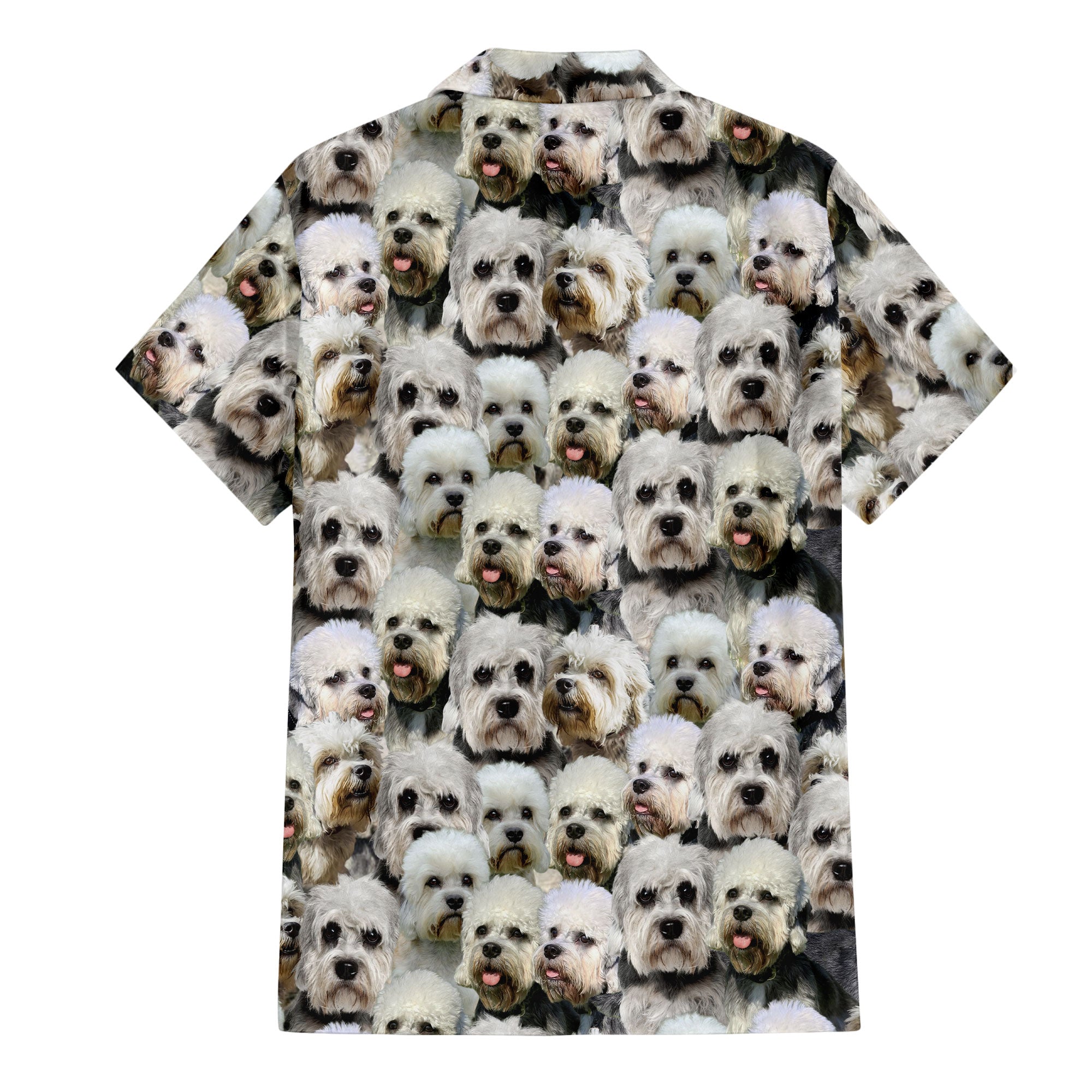 back-t-shirt-Dandie-Dinmont-Terrier.jpg