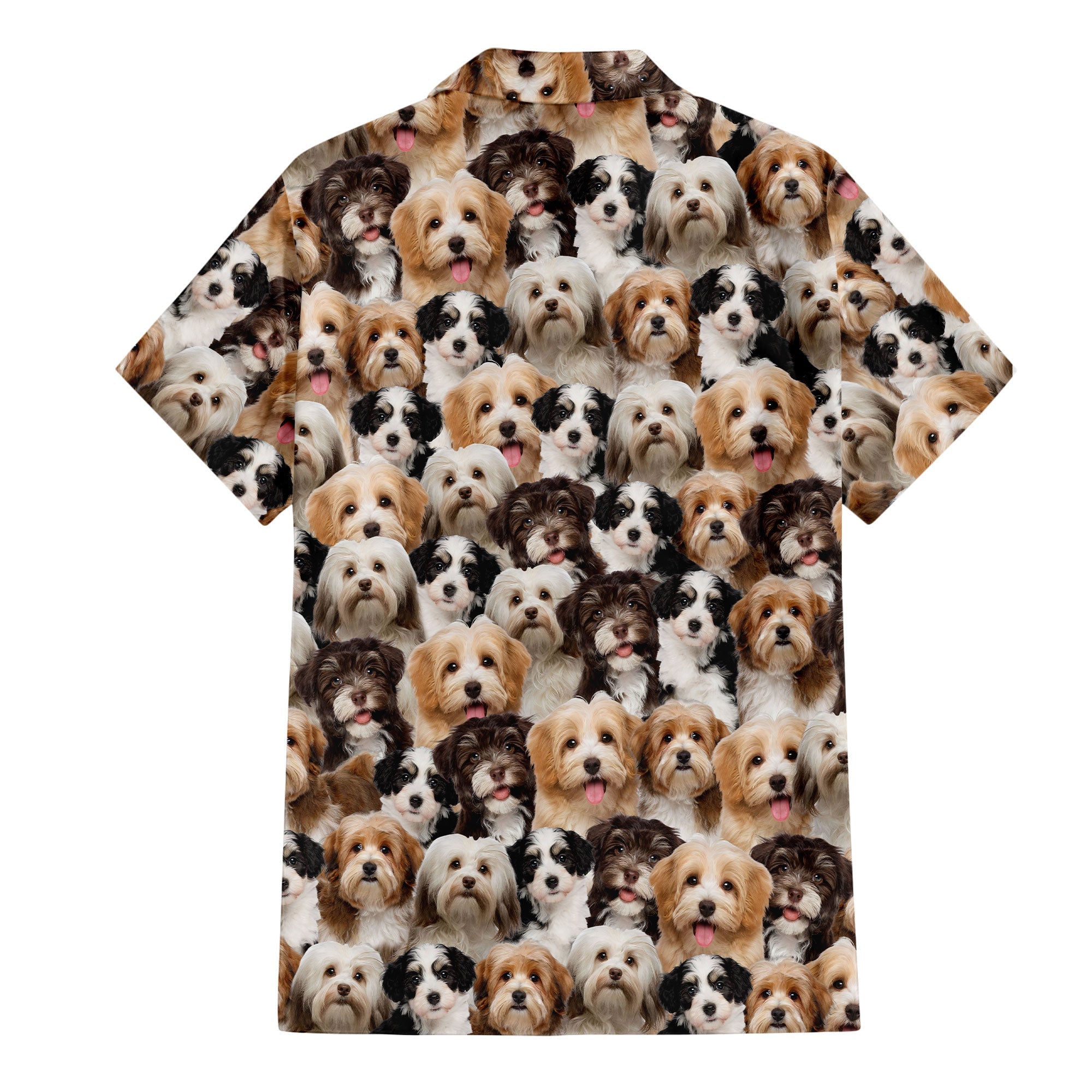 back-t-shirt-Havanese.jpg