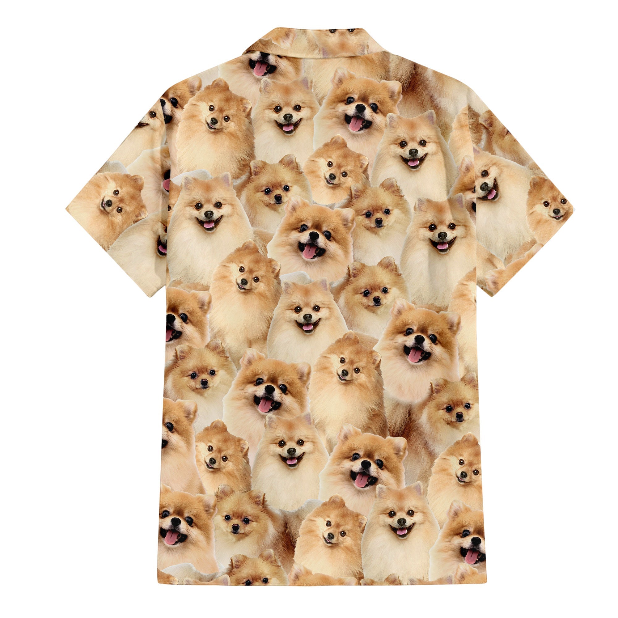 back-t-shirt-Pomeranian_9e566b94-9957-4659-84ea-685f506d283a.jpg