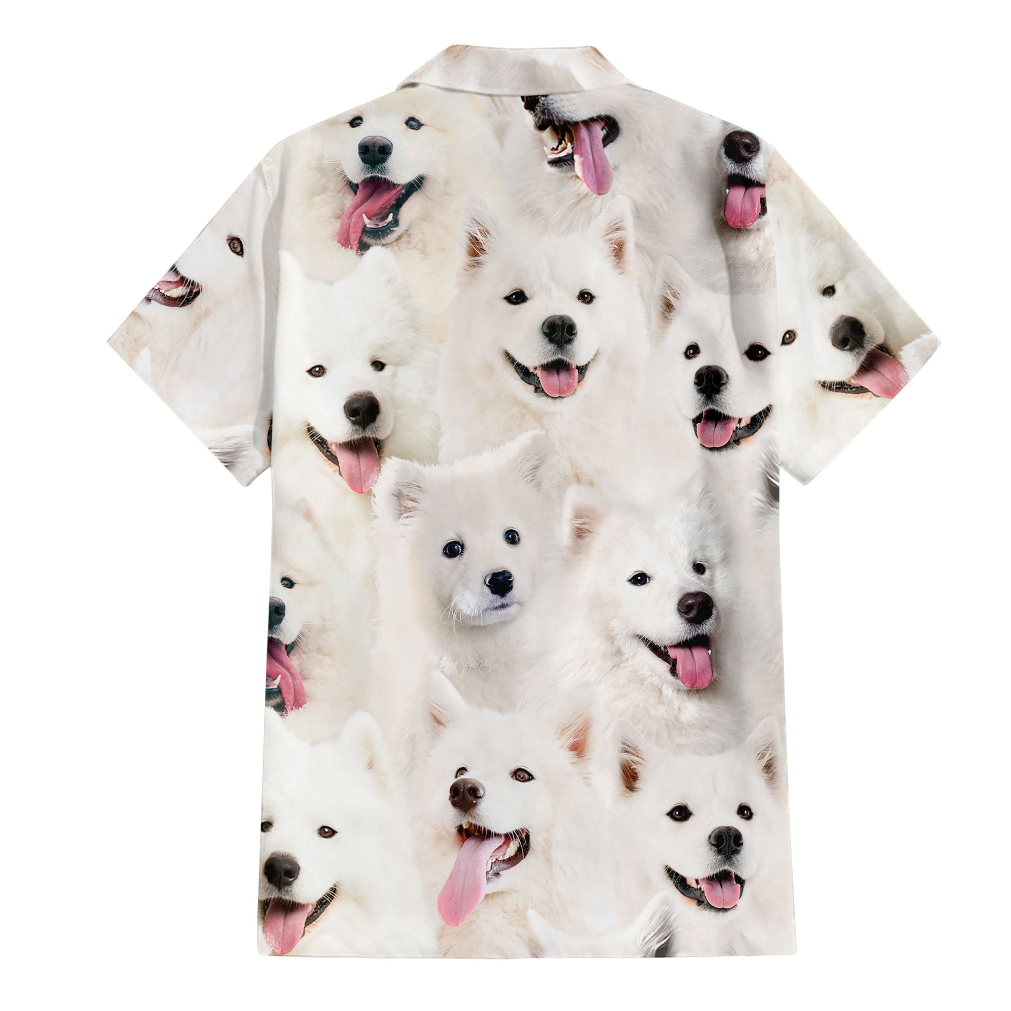 back-t-shirt-Samoyed_ef2f0713-15c1-4d17-a823-a045ec9efb86.jpg