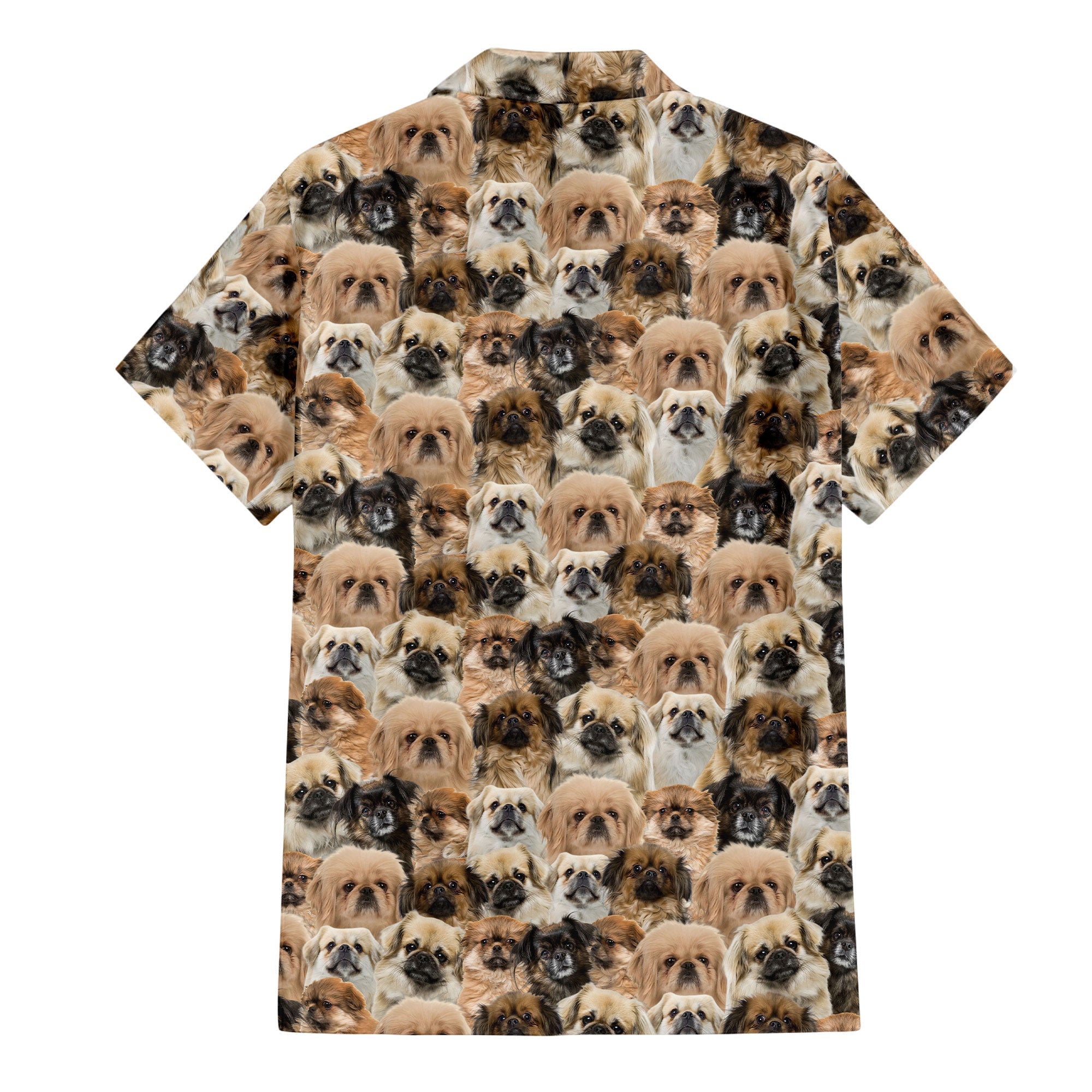 back-t-shirt-Tibetan-Spaniel_cc05608b-bd63-487e-95a8-8845897f0acb.jpg