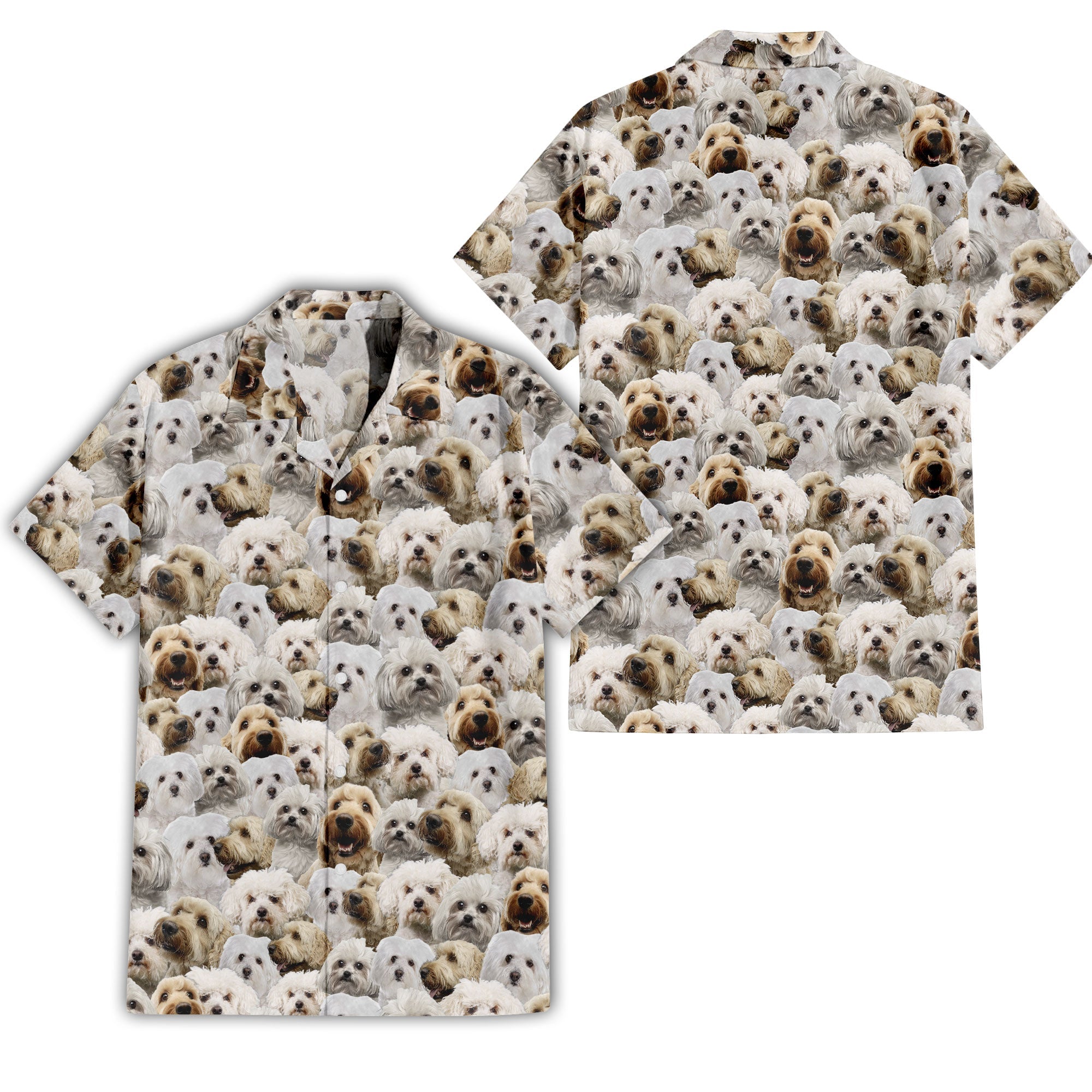 front-back-t-shirt-Bolognese-Dog.jpg