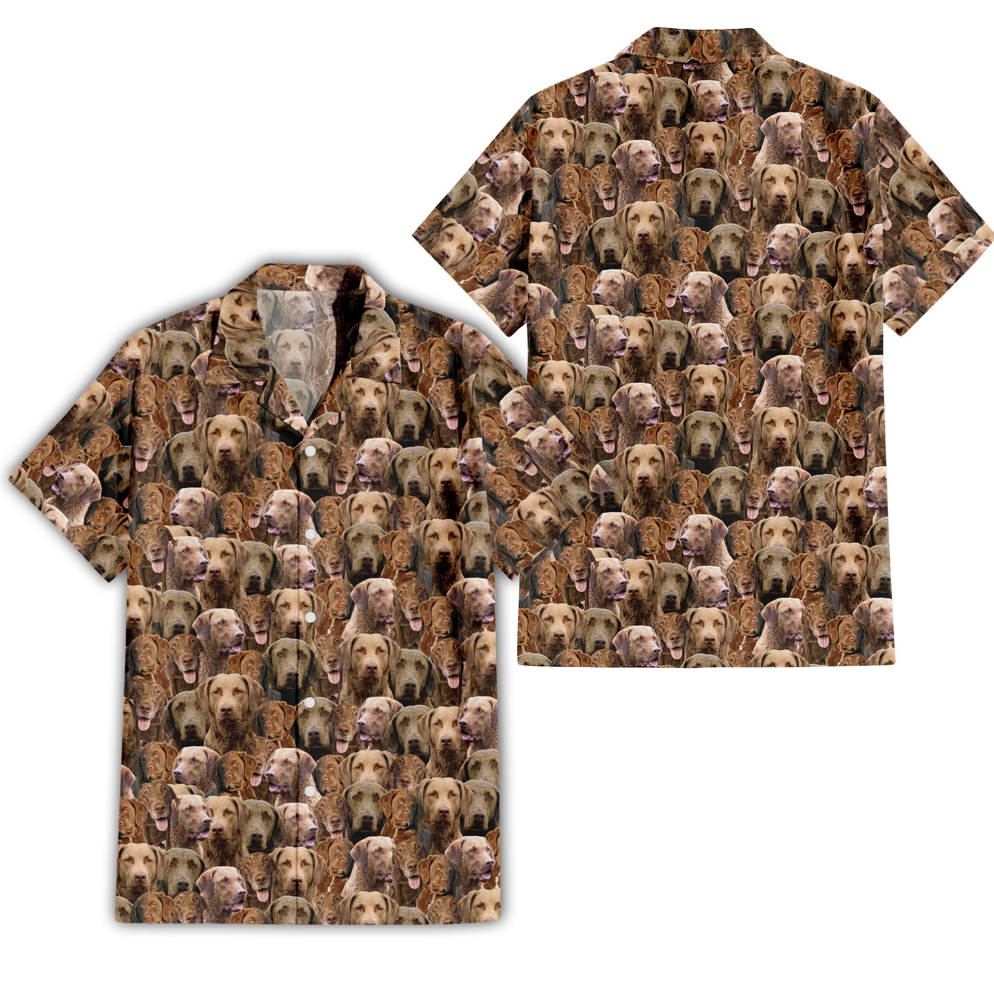 front-back-t-shirt-Chesapeake-Bay-Retriever.jpg