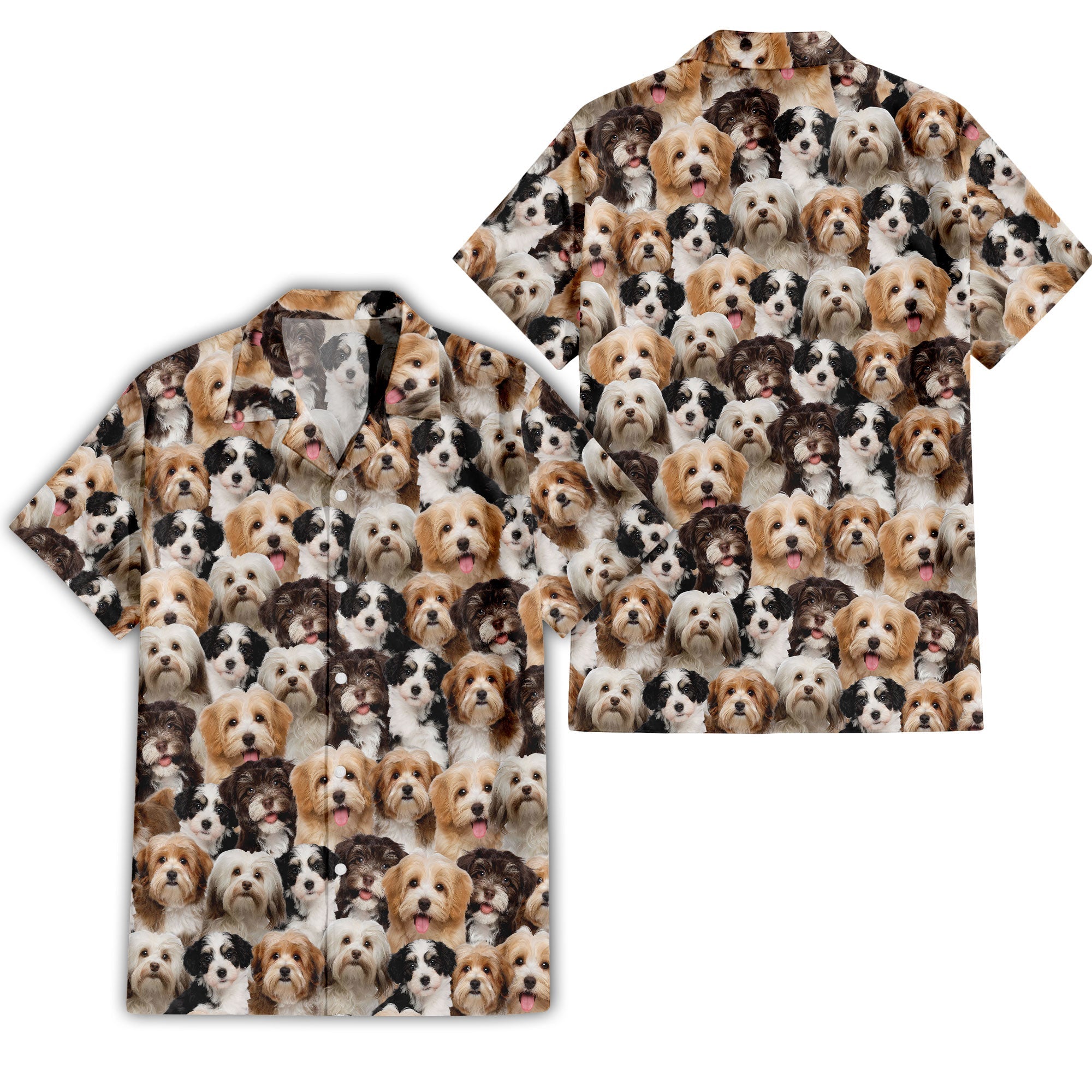 front-back-t-shirt-Havanese.jpg