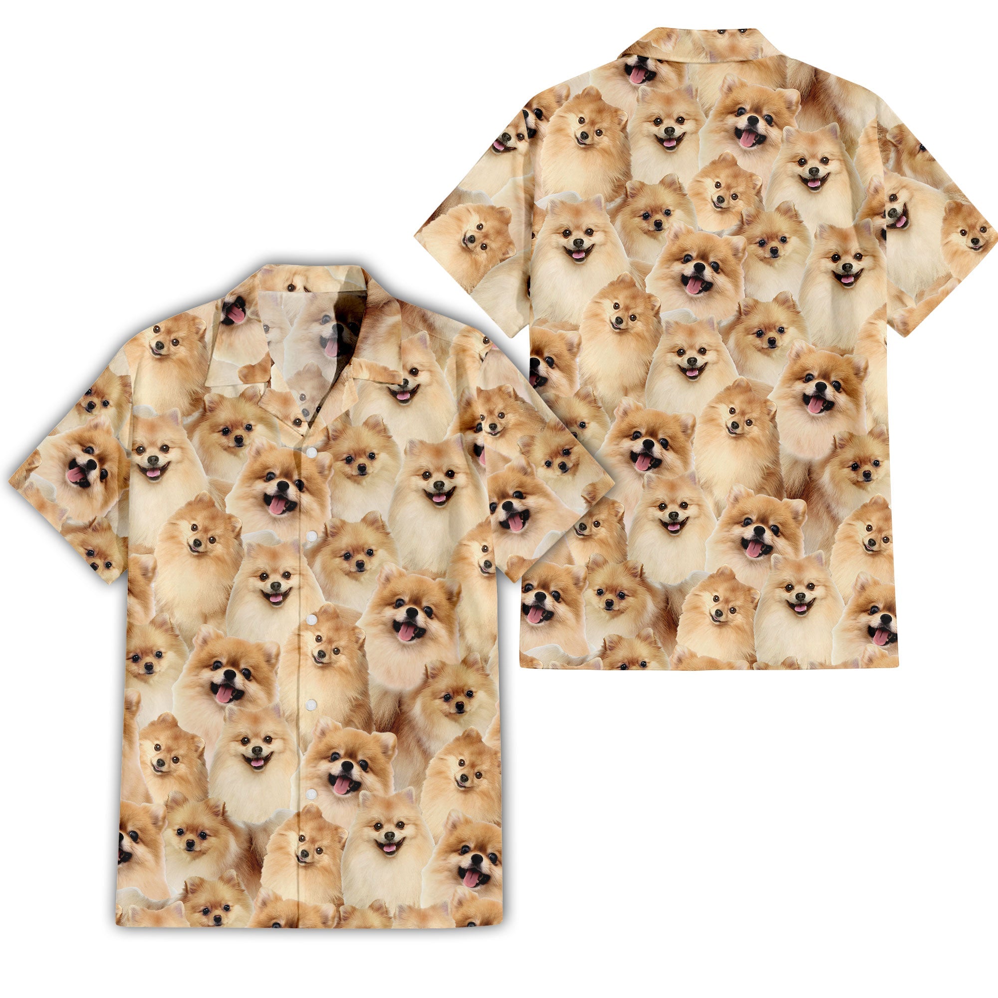 front-back-t-shirt-Pomeranian_7dd906d3-e5b5-4342-a36a-c5da11af8711.jpg