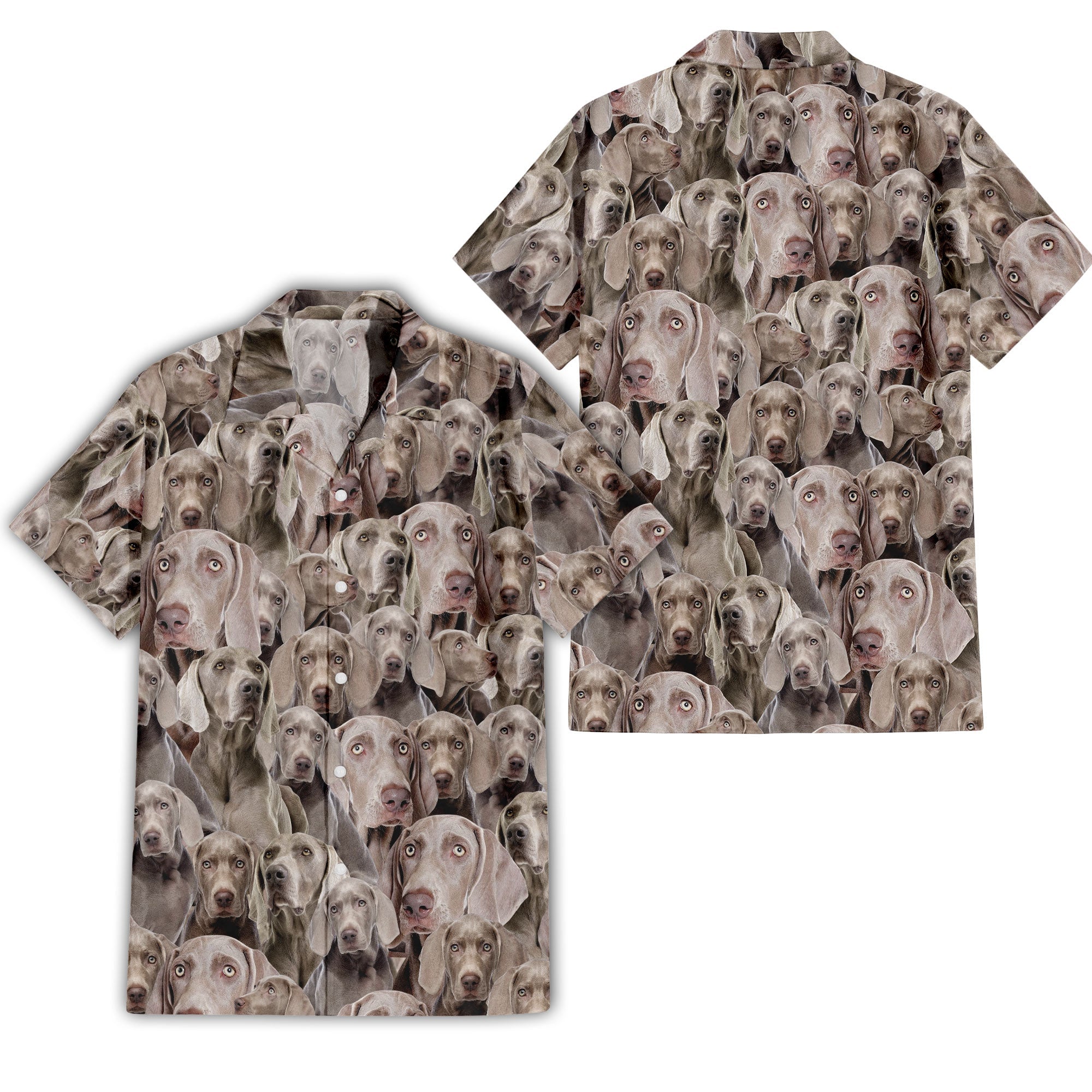 front-back-t-shirt-Weimaraner_d6cdd84b-ad5f-4080-ab8c-68dccbf36bdf.jpg