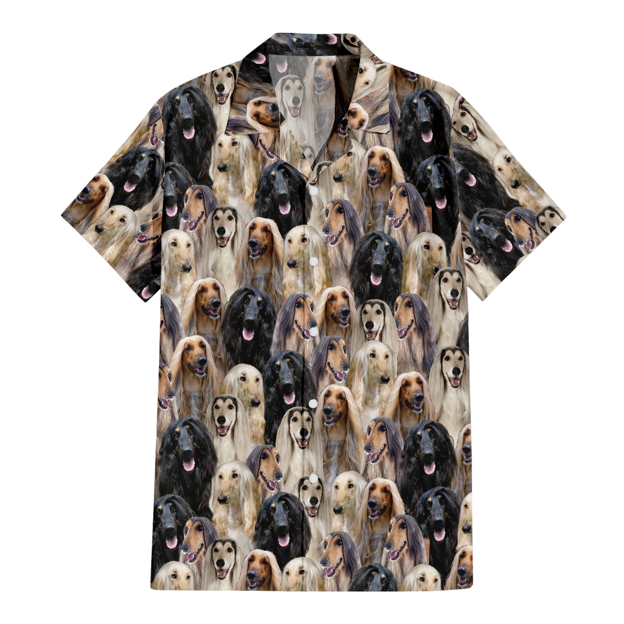 front-t-shirt-Afghan-Hound.jpg