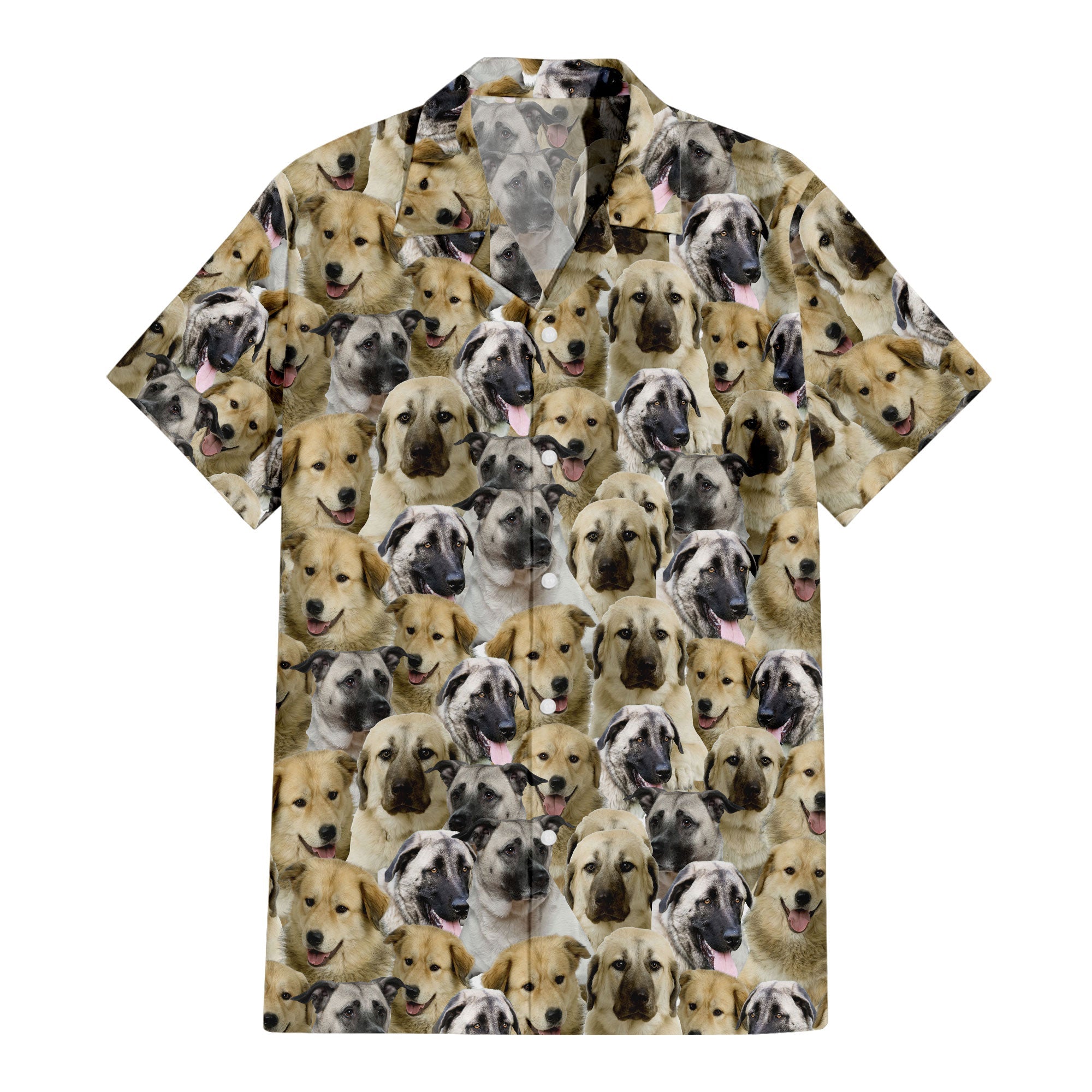 front-t-shirt-Anatolian-Shepherd.jpg