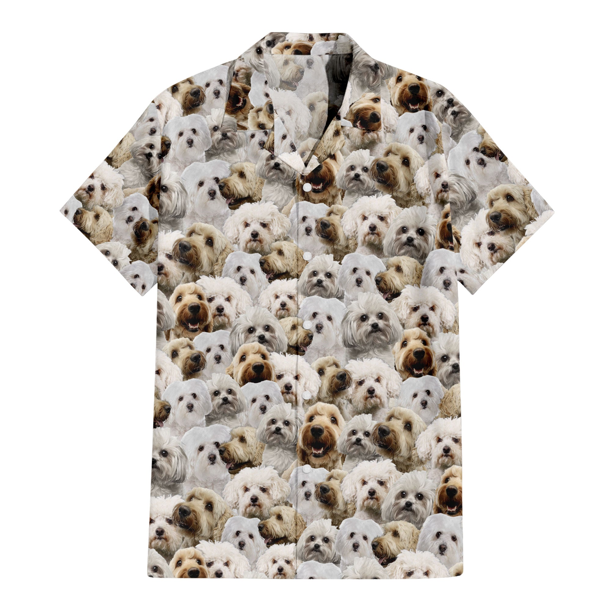 front-t-shirt-Bolognese-Dog.jpg