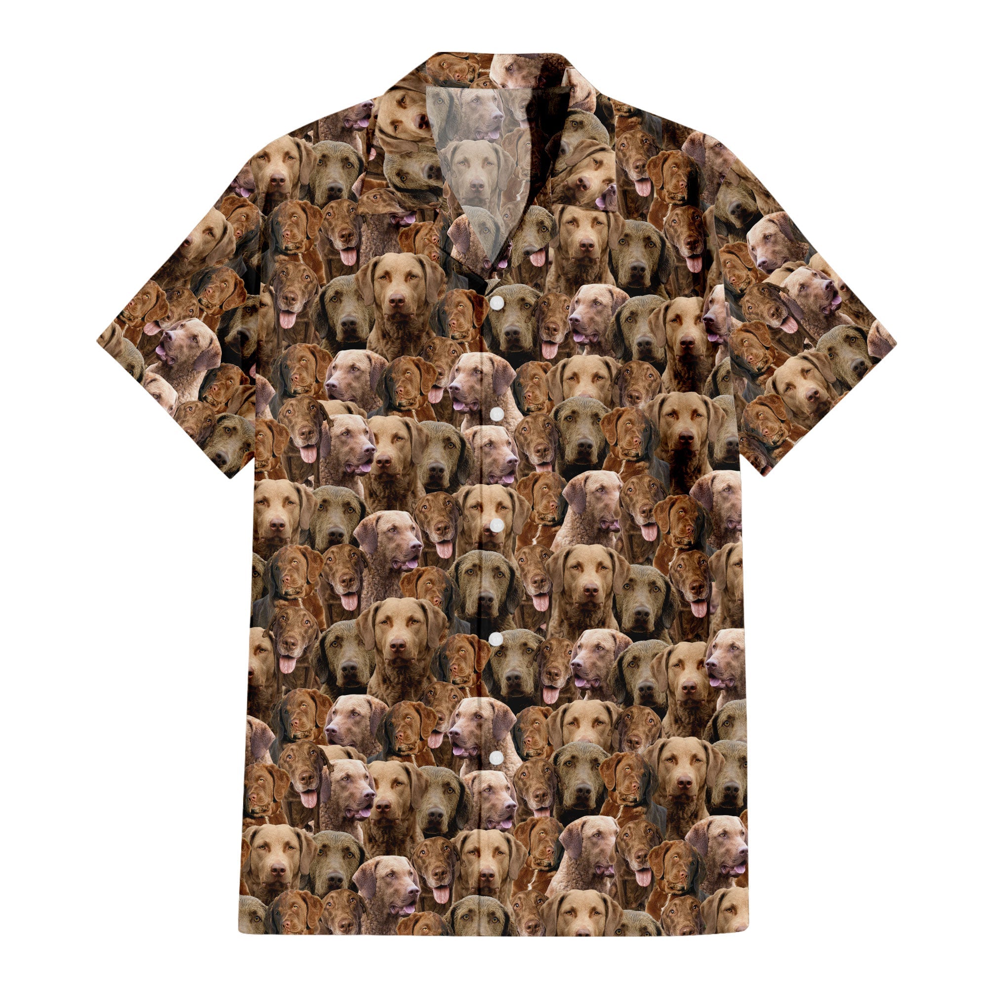 front-t-shirt-Chesapeake-Bay-Retriever.jpg